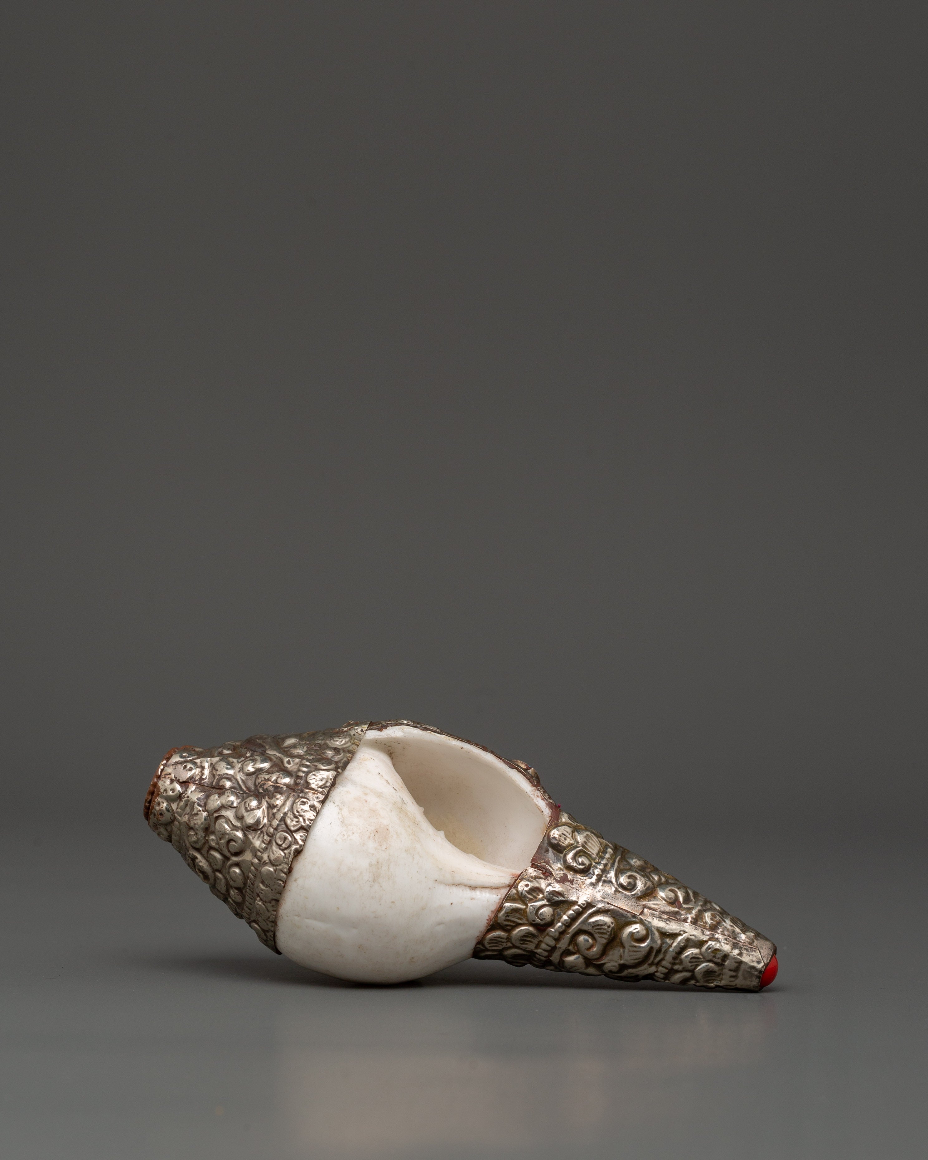 Conch Shell Spiritual Decor | Symbol of Sound and Spirituality