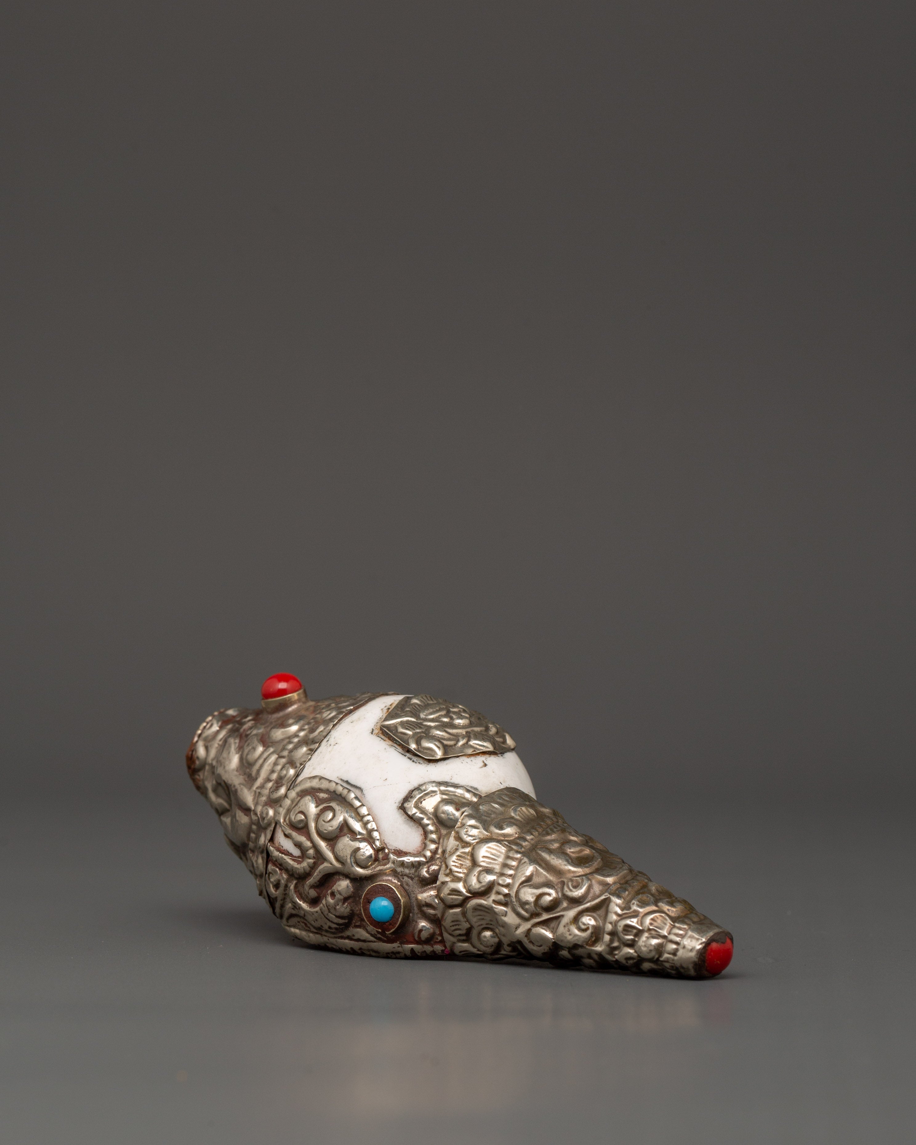 Conch Shell Spiritual Decor | Symbol of Sound and Spirituality