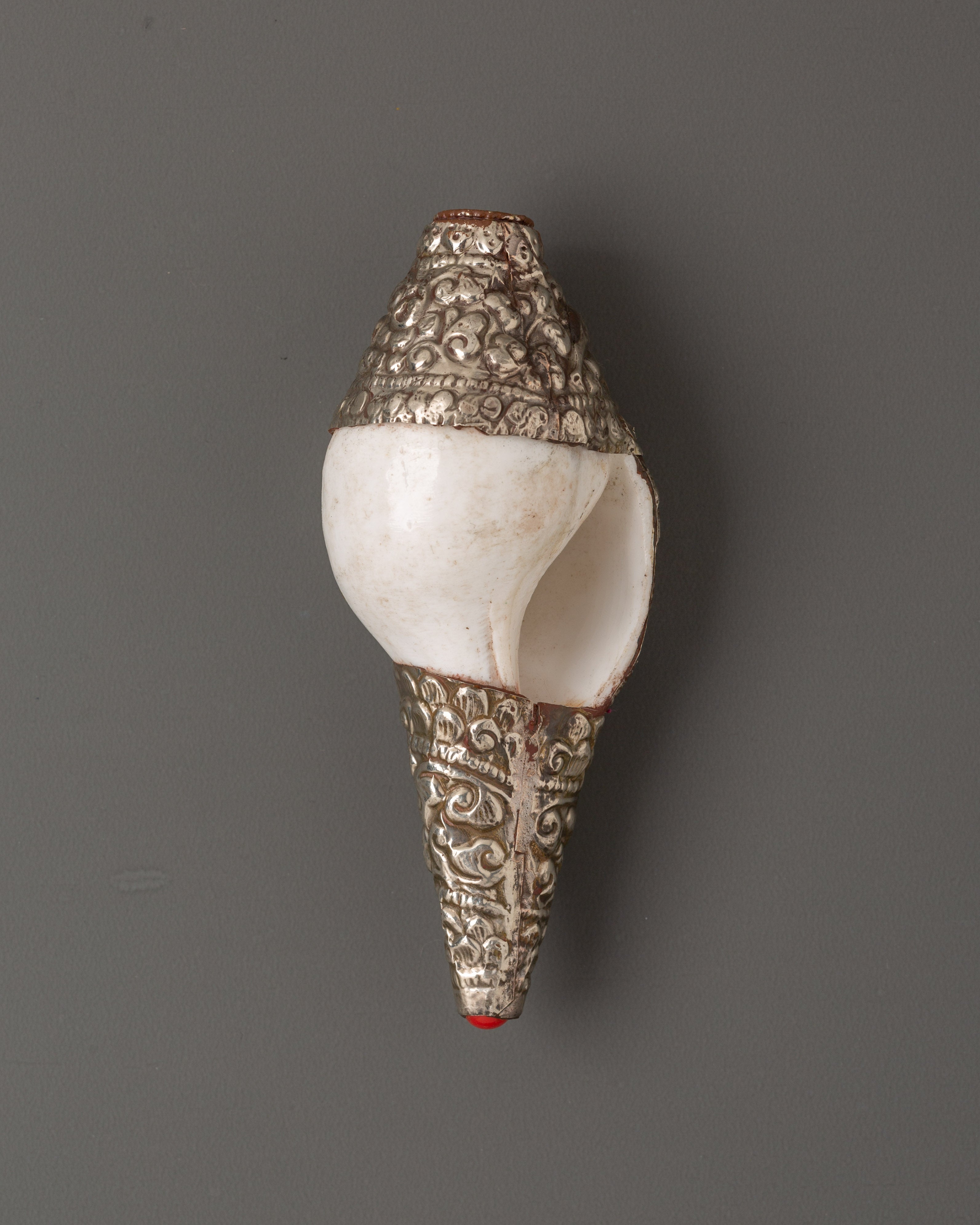 Conch Shell Spiritual Decor | Symbol of Sound and Spirituality