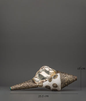 Tibetan Conch for Rituals | Sacred Offering Tool
