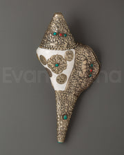 Tibetan Conch