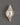  Silver Conch 