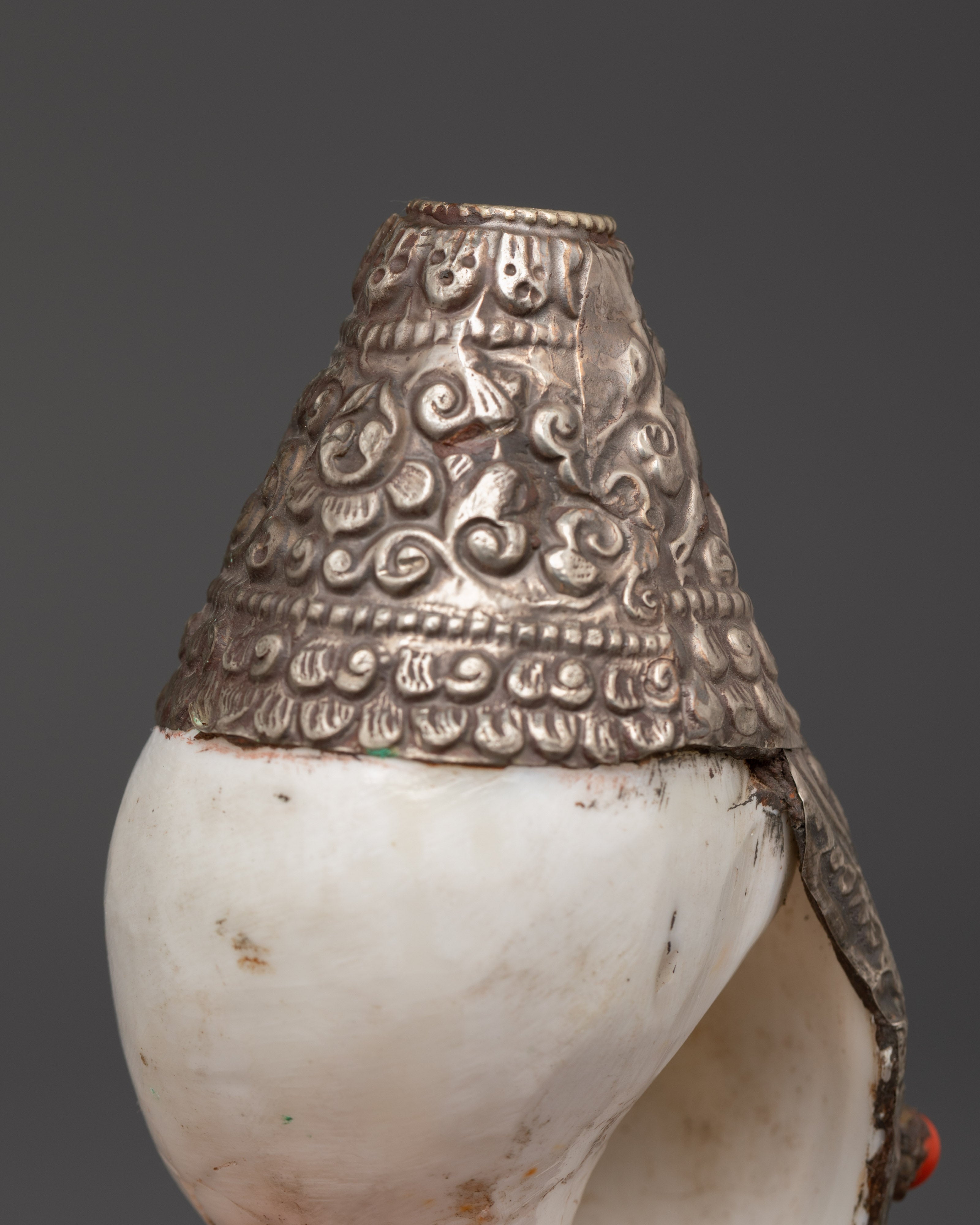 Tibetan Ritual Conch Shell | Handcrafted Buddhist Ritual Sacred Instrument