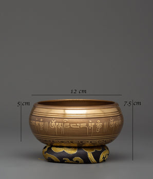 Buddhist Singing Bowl with OM Symbol | Meditation Sound Bowl