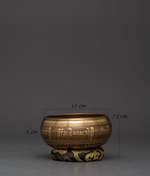 Singing Bowl with Five Buddhas Engraved | Tibetan Bowl with Cushion & Wooden Mallet