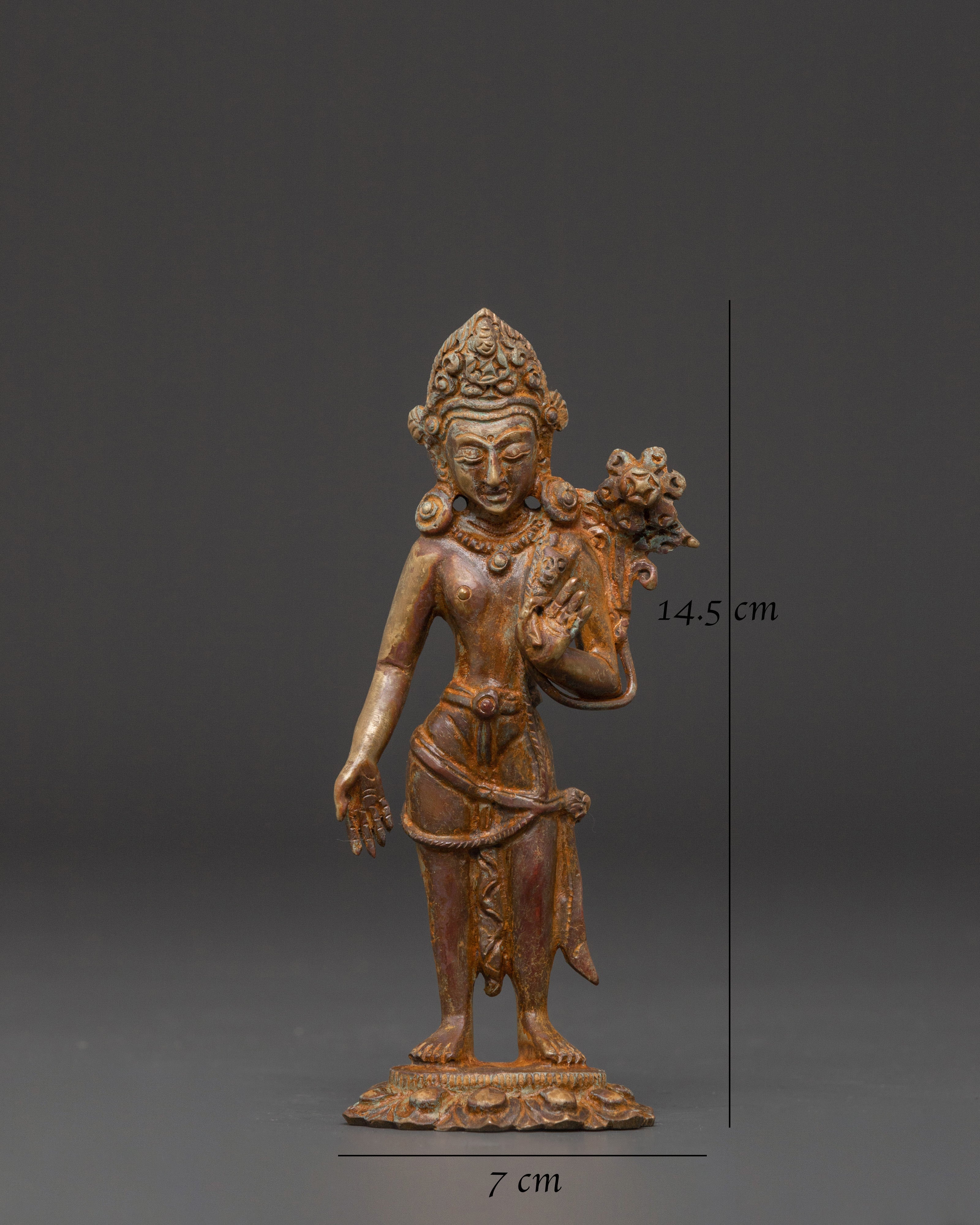 The Standing Lokeshwor | Handcrafted  Sacred Standing Lokeshwor
