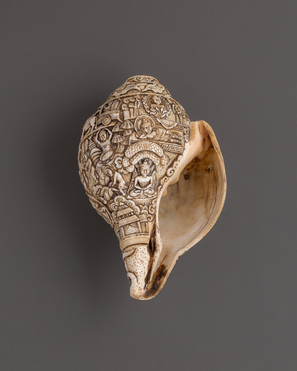 Buddha Engraved Conch Shell | Hand-Carved Tibetan Shankha for Ritual