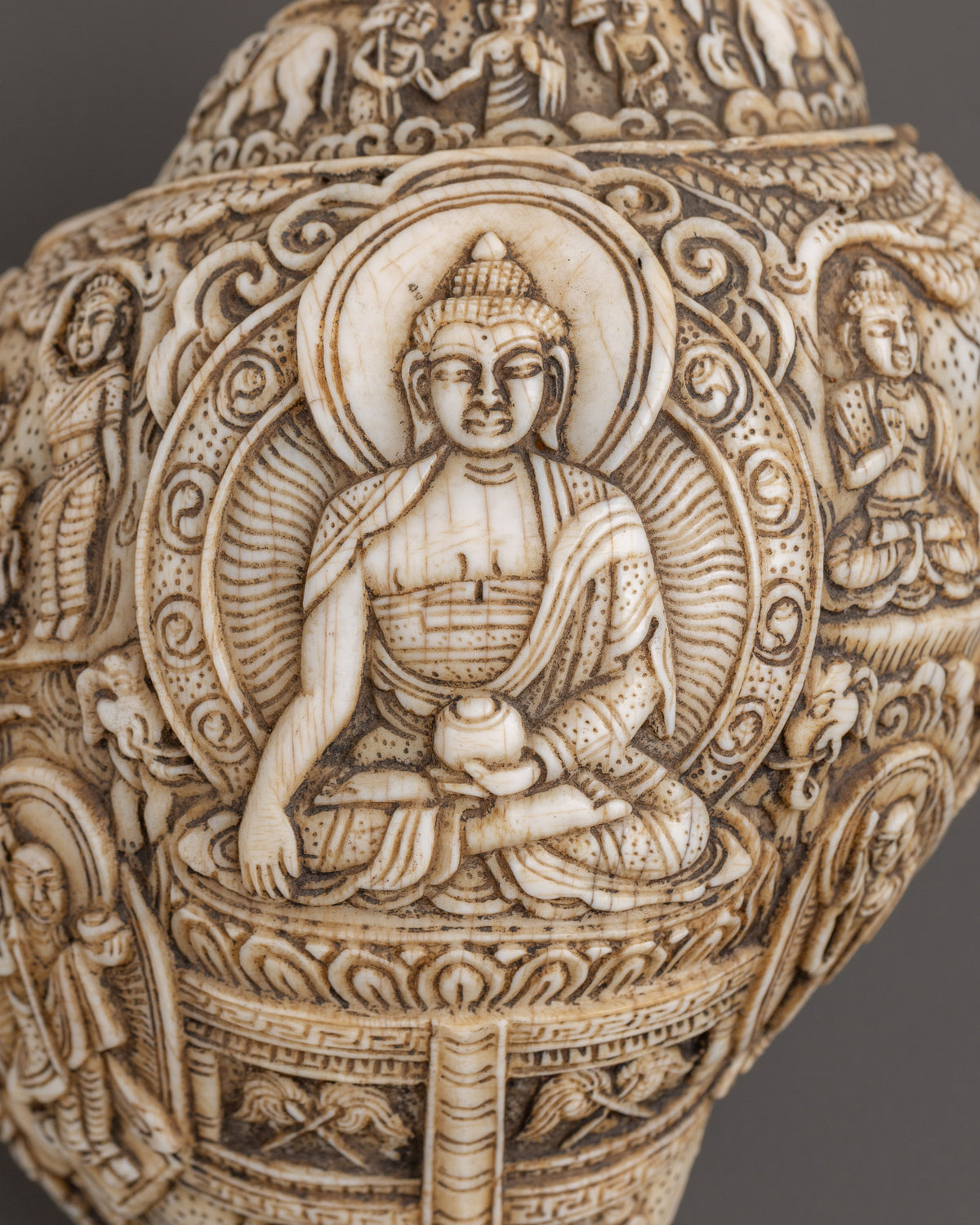 Buddha Engraved Conch Shell | Hand-Carved Tibetan Shankha for Ritual