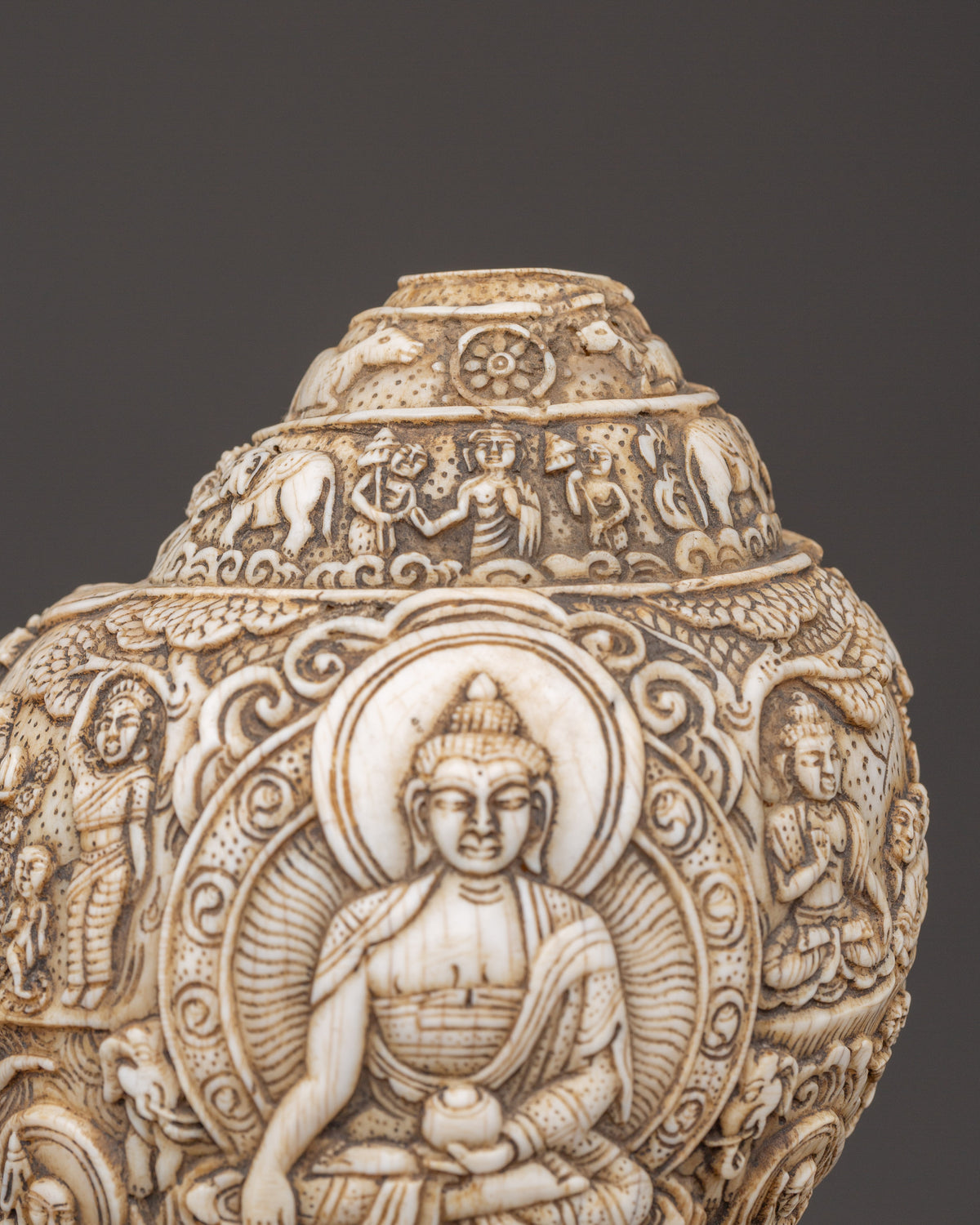 Buddha Engraved Conch Shell | Hand-Carved Tibetan Shankha for Ritual