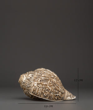 Buddha Engraved Conch Shell | Hand-Carved Tibetan Shankha for Ritual