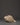 Buddha Engraved Conch Shell | Hand-Carved Tibetan Shankha for Ritual