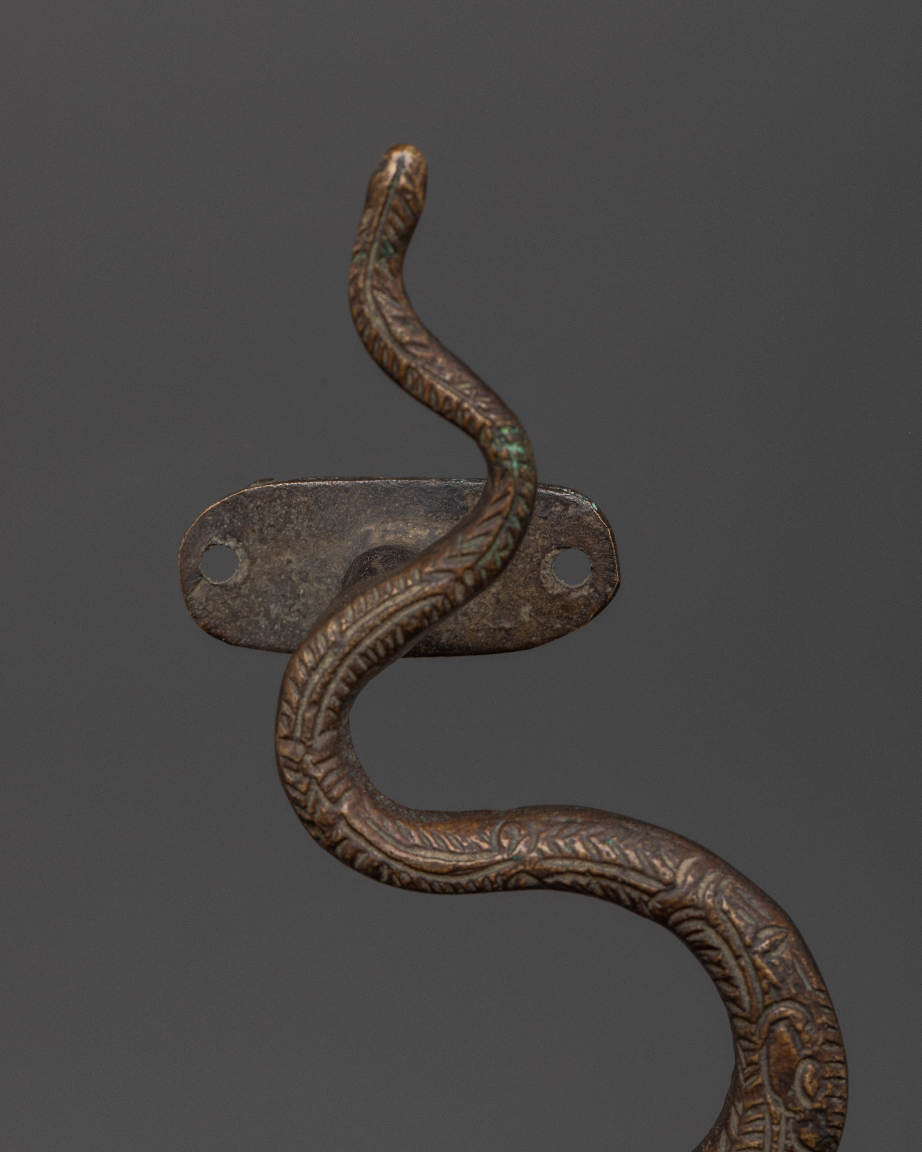 Handcrafted Snake Door Handle for Protection | Decorative Sacred Brass Handle