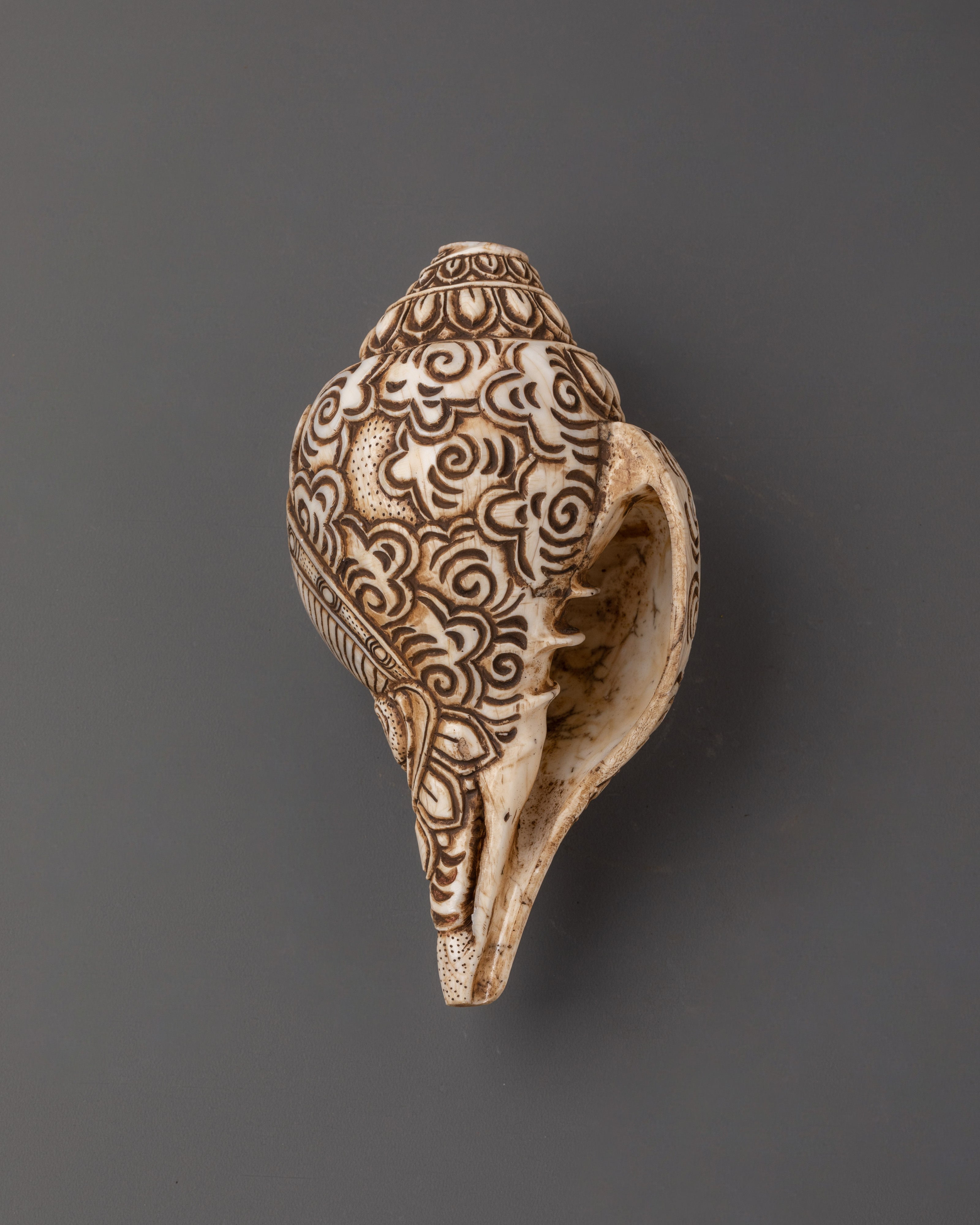 Shakyamuni Buddha Carved Conch | Handcrafted Tibetan Buddhist Ritual Object