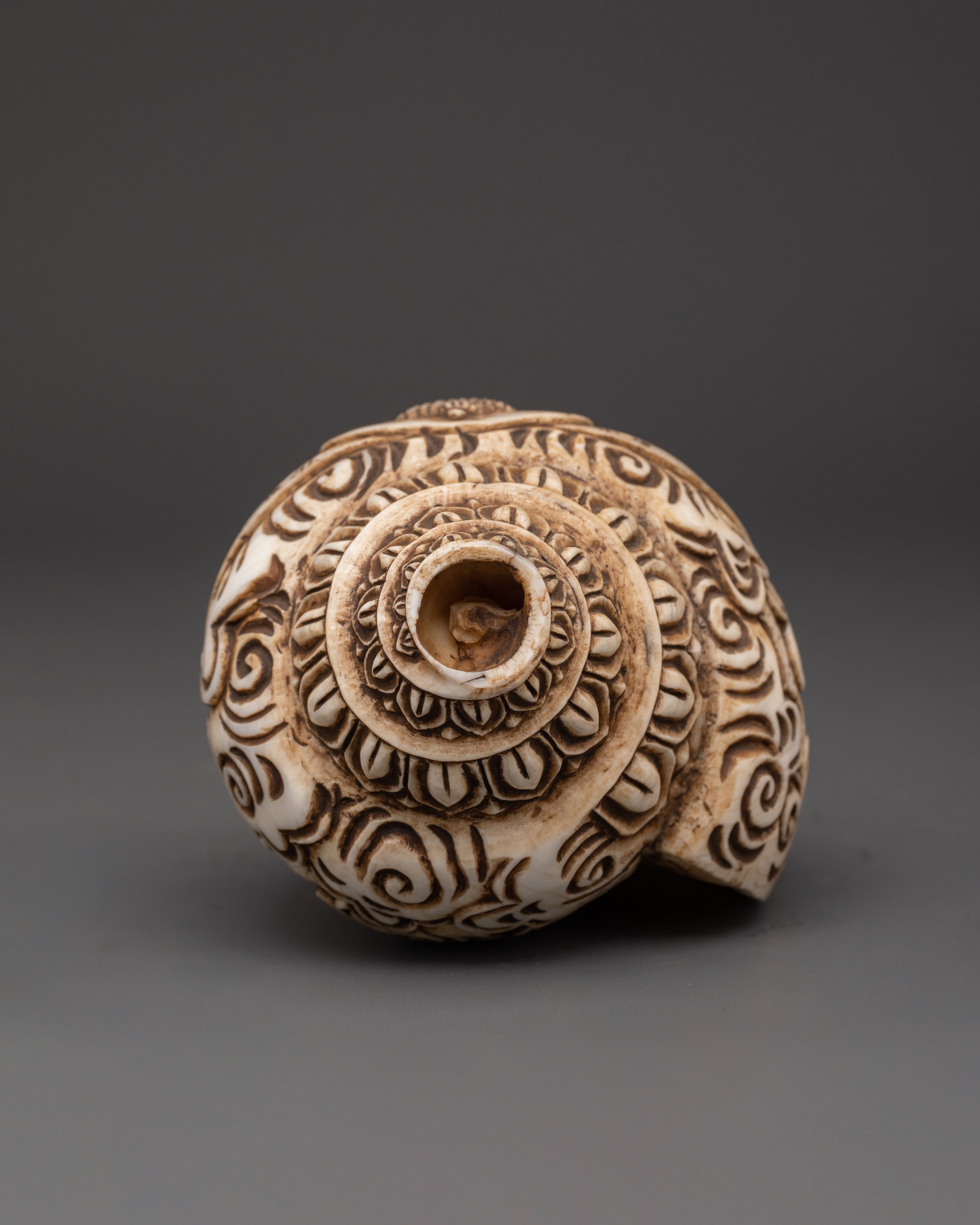 Shakyamuni Buddha Carved Conch | Handcrafted Tibetan Buddhist Ritual Object