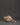 Shakyamuni Buddha Carved Conch | Handcrafted Tibetan Buddhist Ritual Object