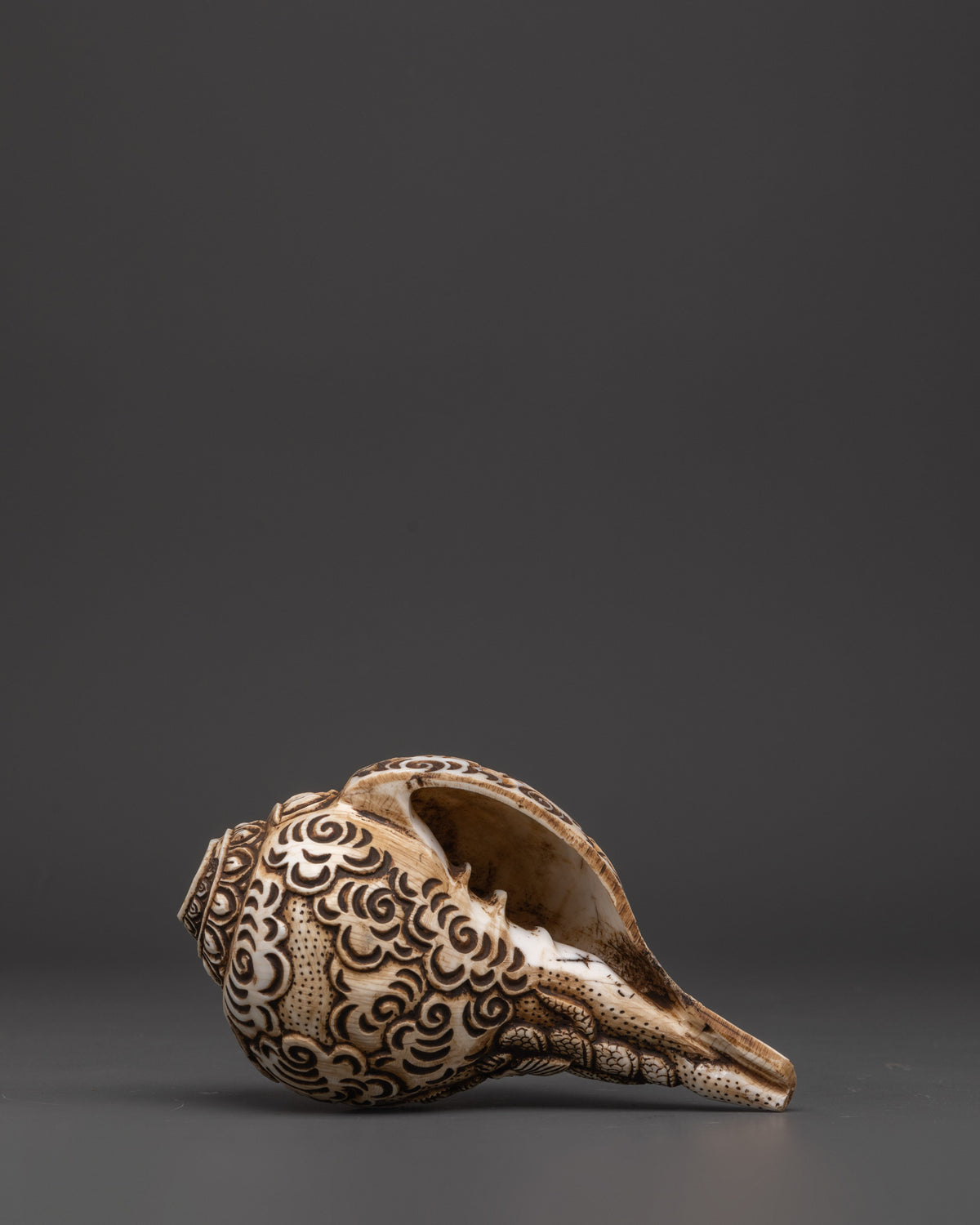 Narasimha Carved Conch Shell | Sacred Hindu Ritual and Meditation Artifact