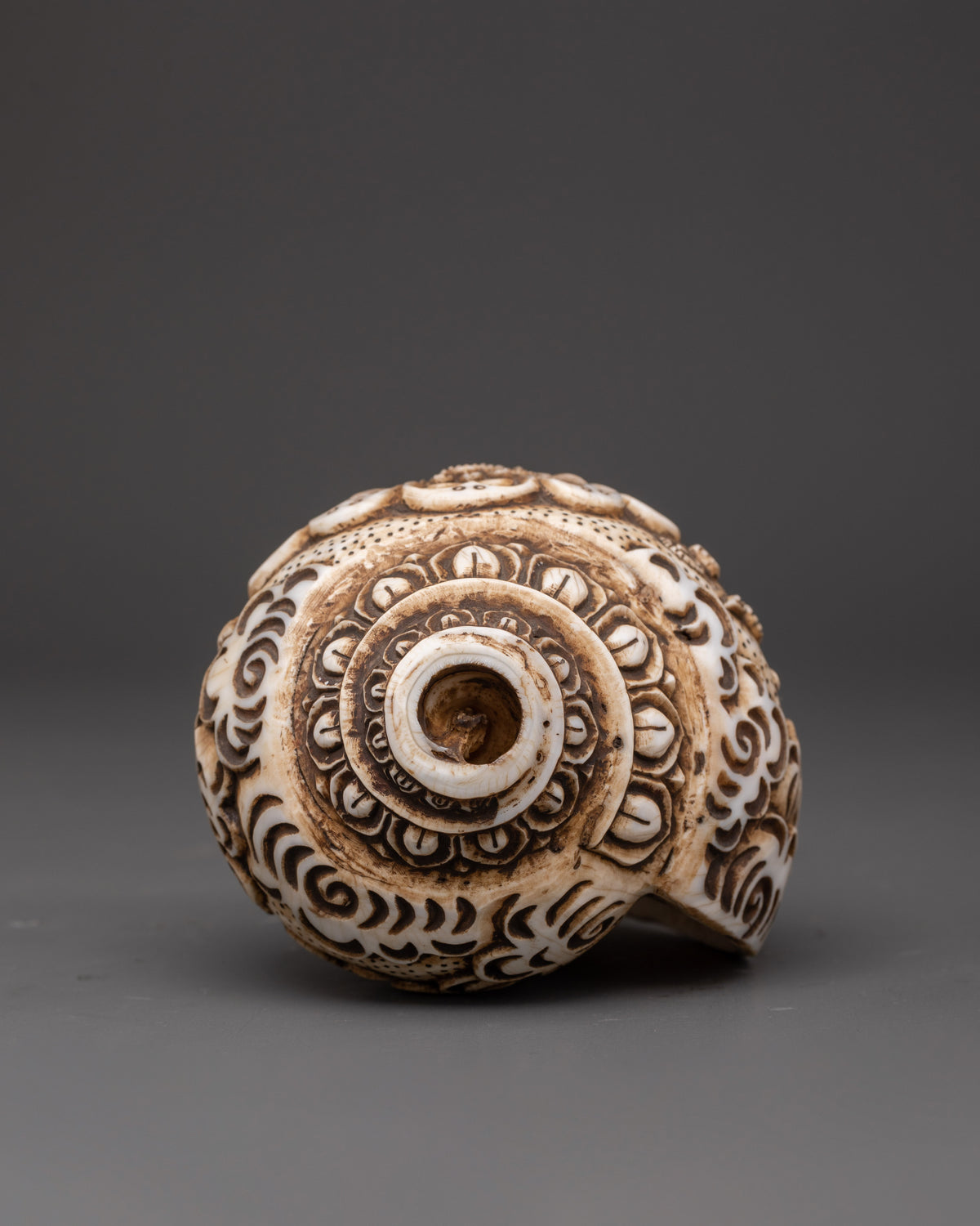 Narasimha Carved Conch Shell | Sacred Hindu Ritual and Meditation Artifact