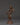 standing-tara
