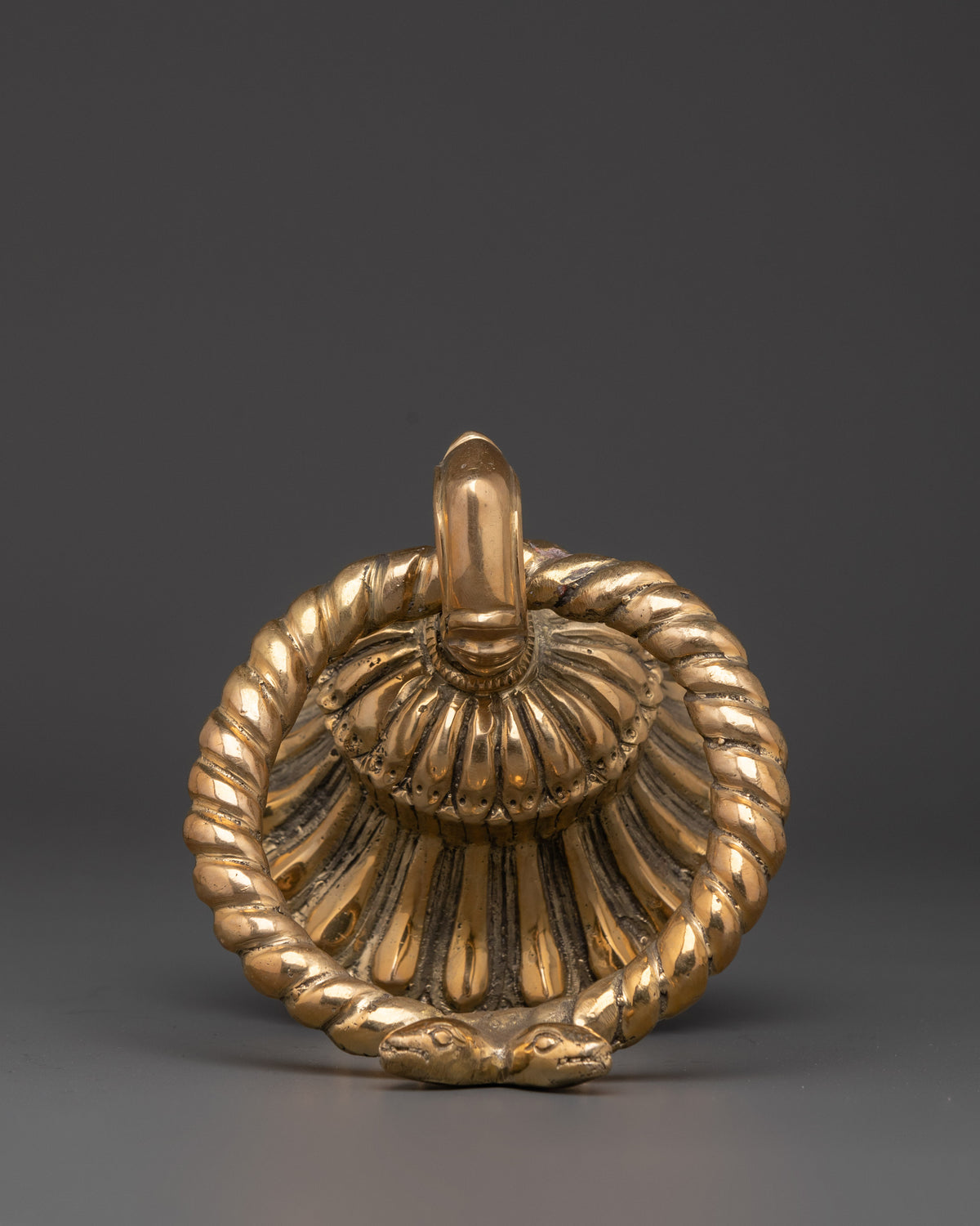 Handmade Brass Door Knocker Set | Intricate Rope and Serpent Design