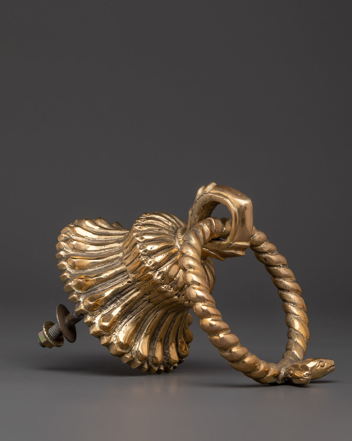 Handmade Brass Door Knocker Set | Intricate Rope and Serpent Design