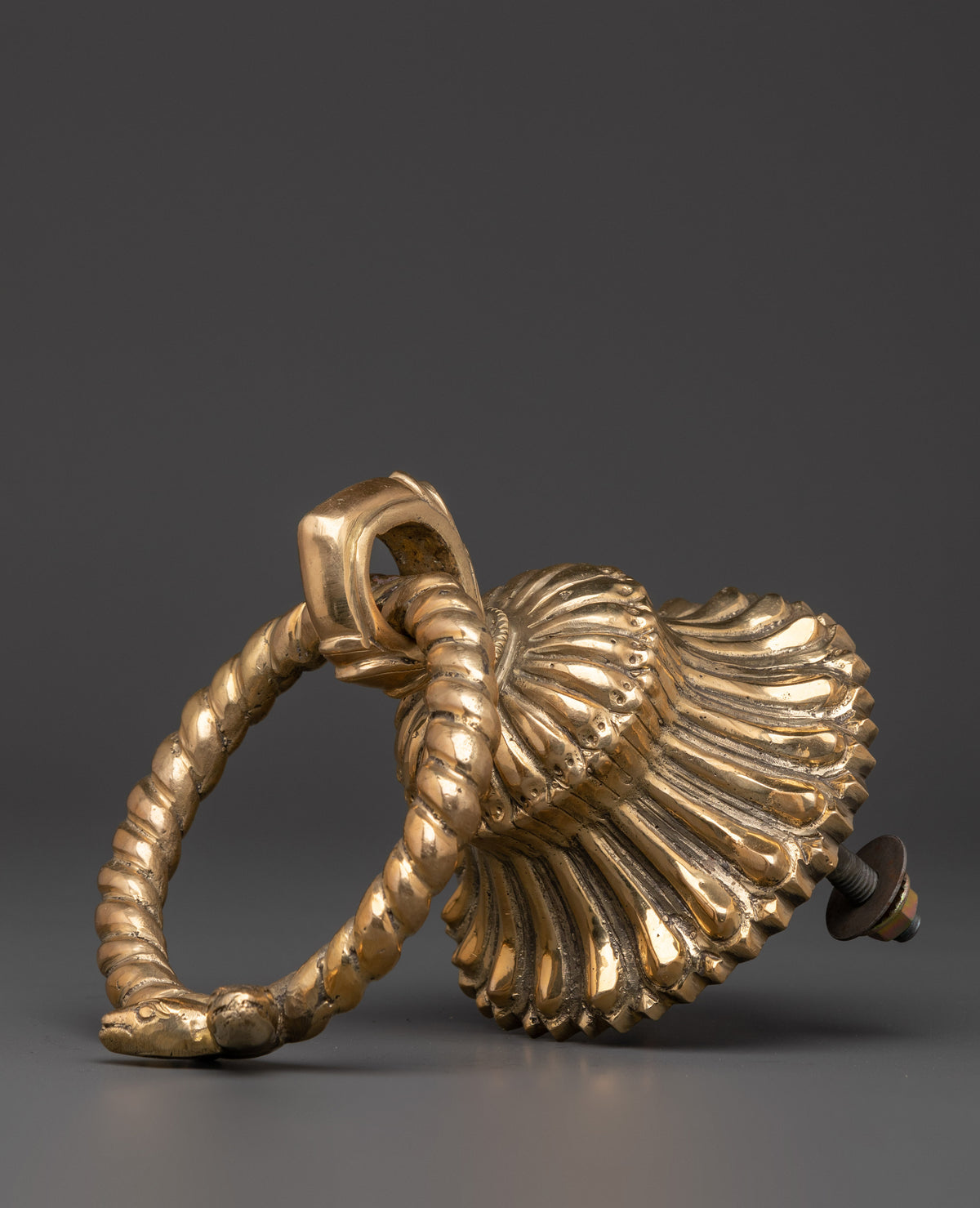 Handmade Brass Door Knocker Set | Intricate Rope and Serpent Design