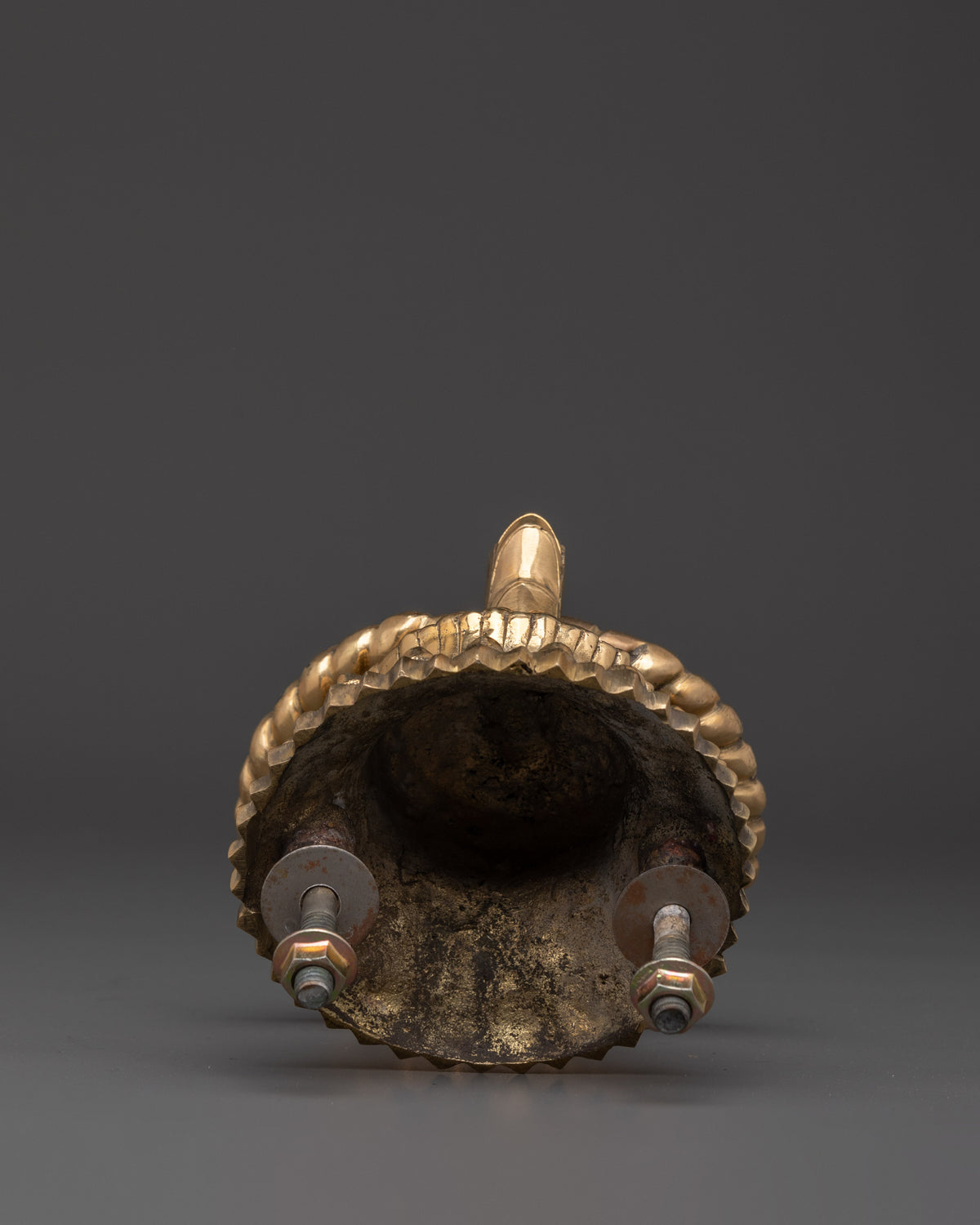 Handmade Brass Door Knocker Set | Intricate Rope and Serpent Design