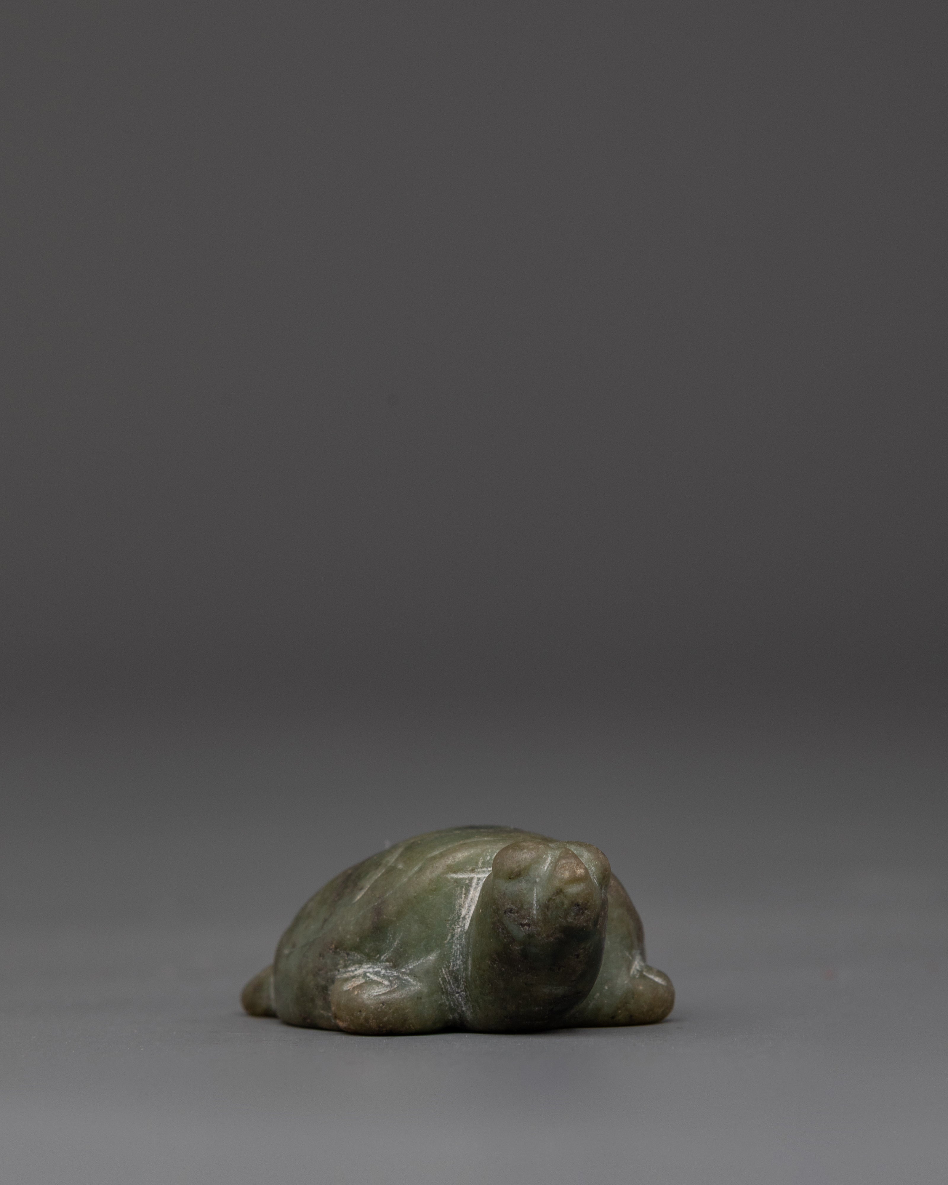 Sacred Jade Tortoise Figurine | For Feng Shui and Healing