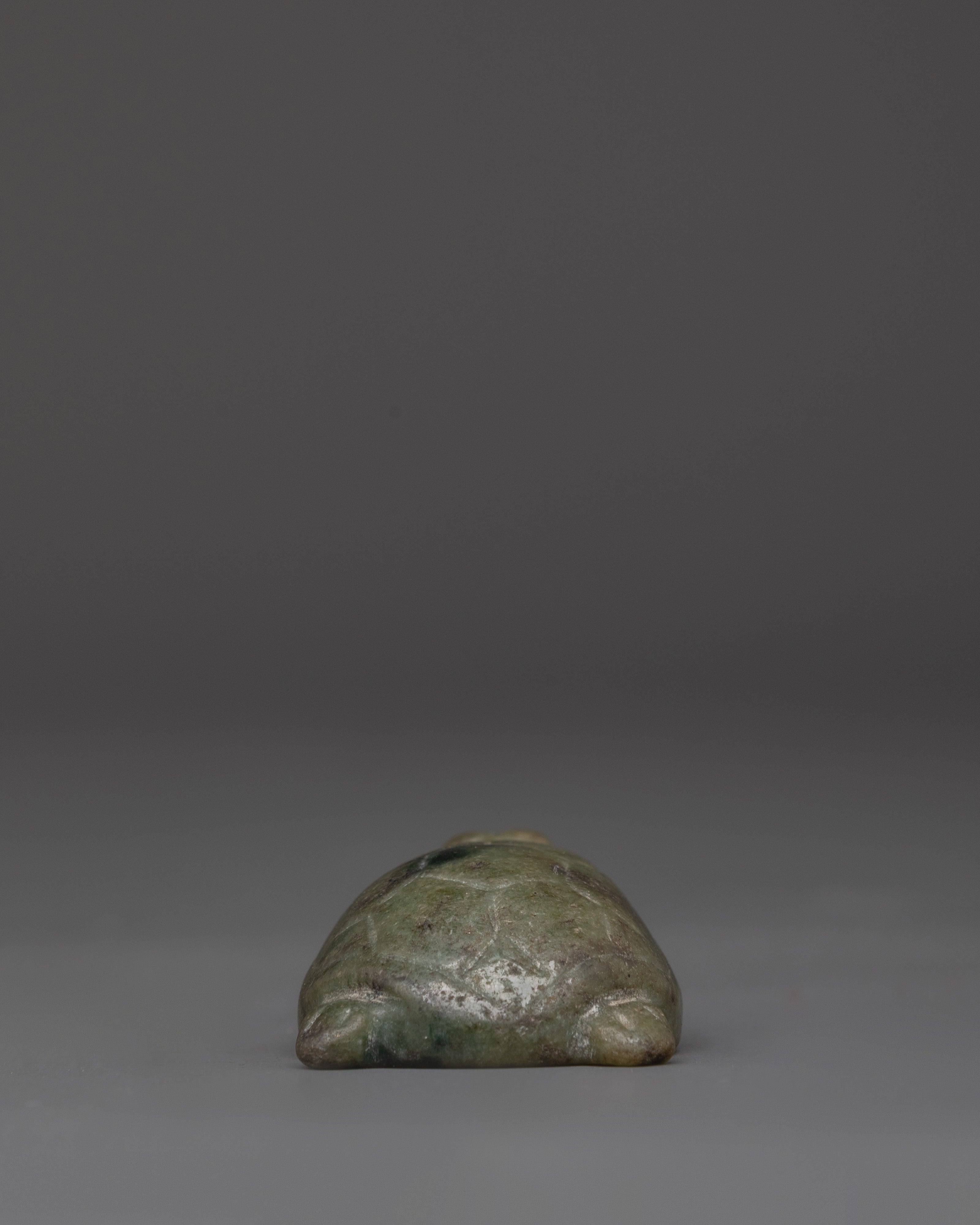 Sacred Jade Tortoise Figurine | For Feng Shui and Healing