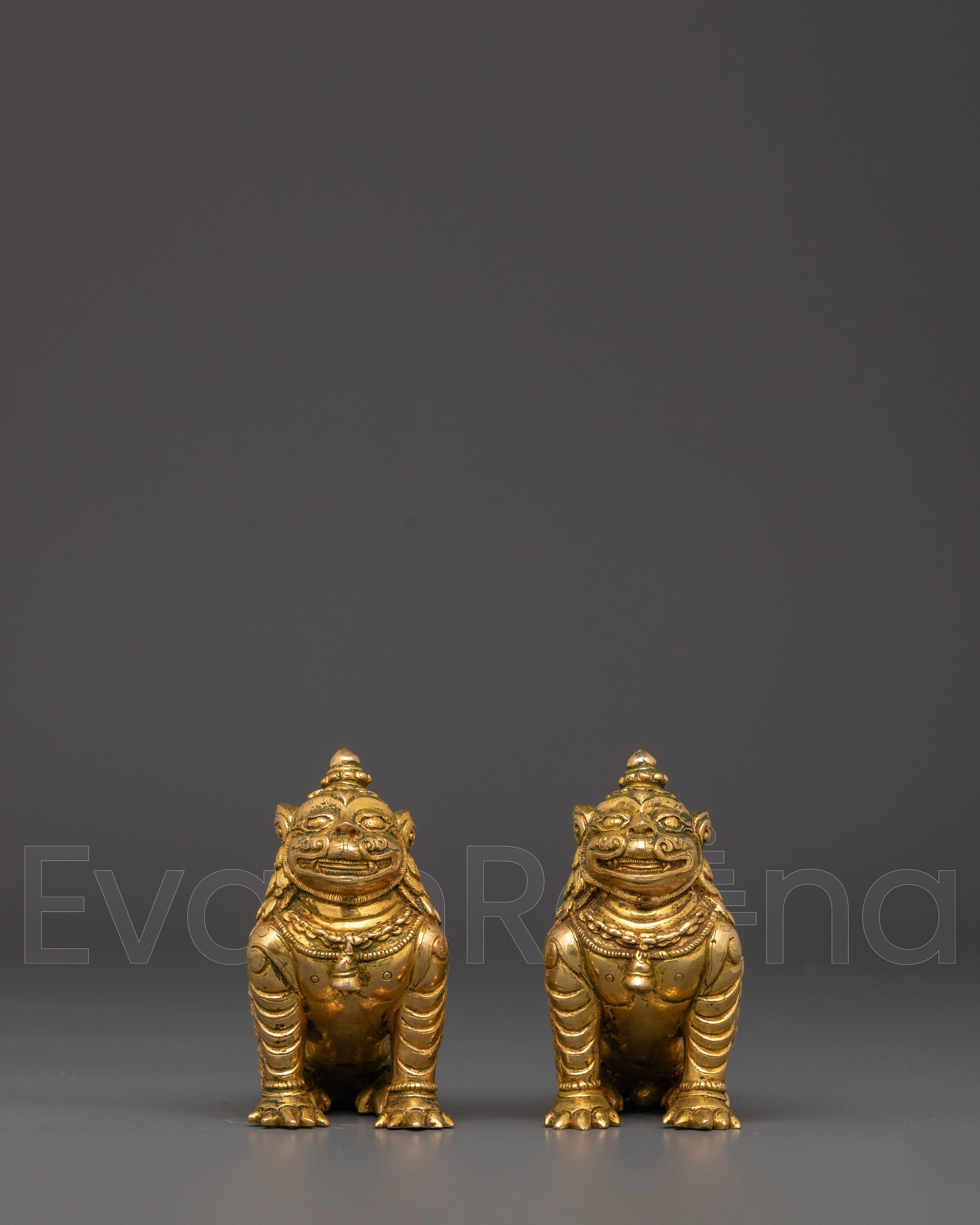 Lion Set