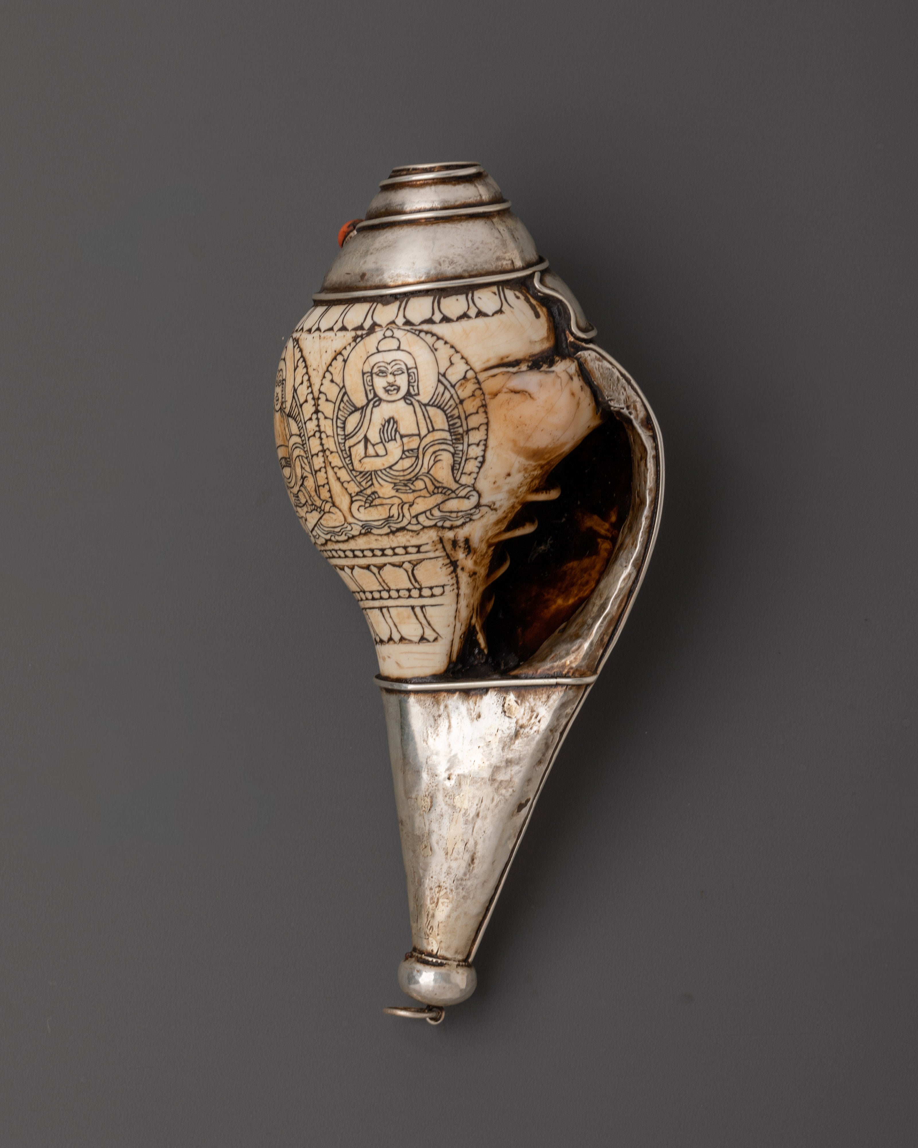 Tibetan Silver Conch Shell | Silver-Wrapped Ritual Shankha