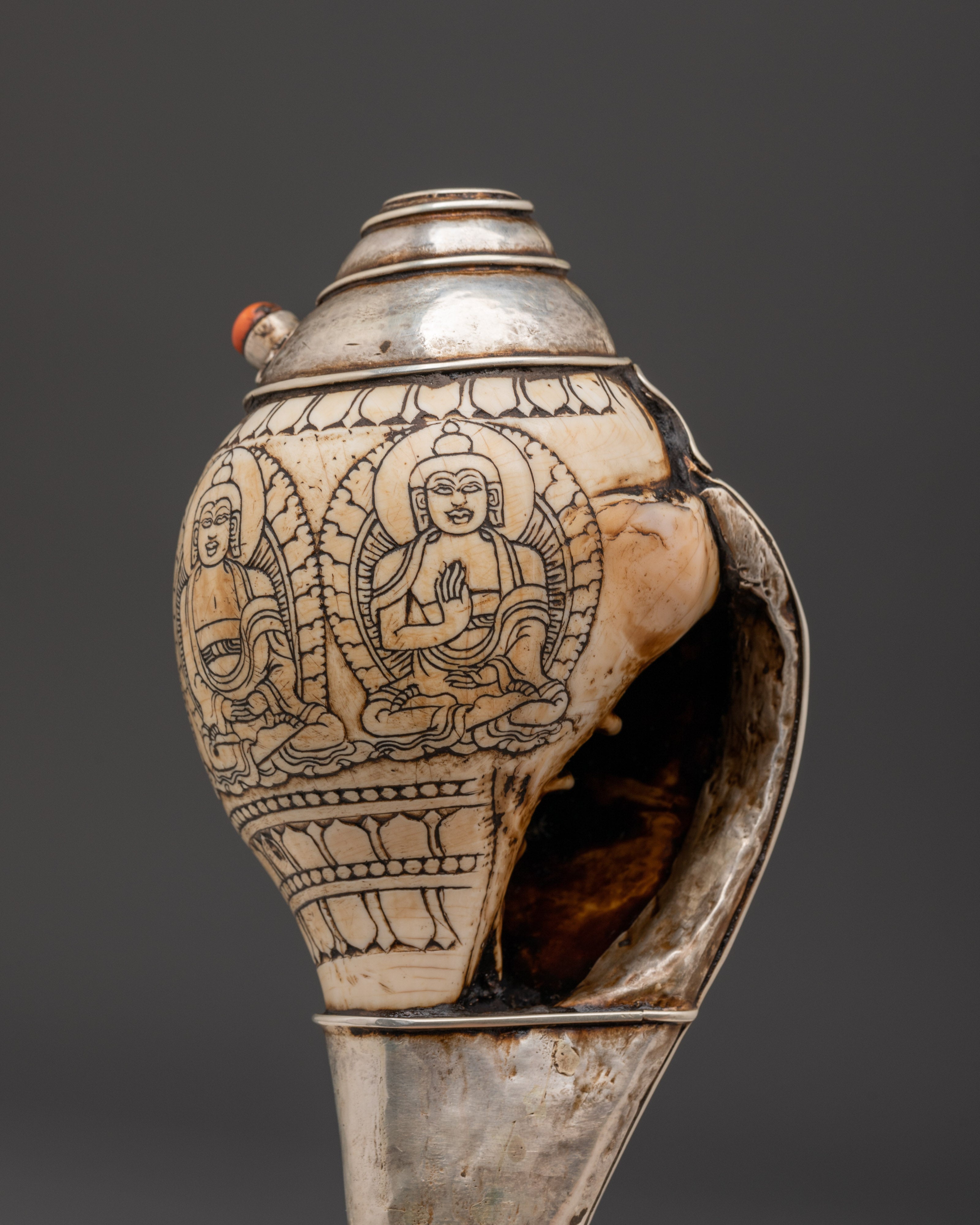 Tibetan Silver Conch Shell | Silver-Wrapped Ritual Shankha