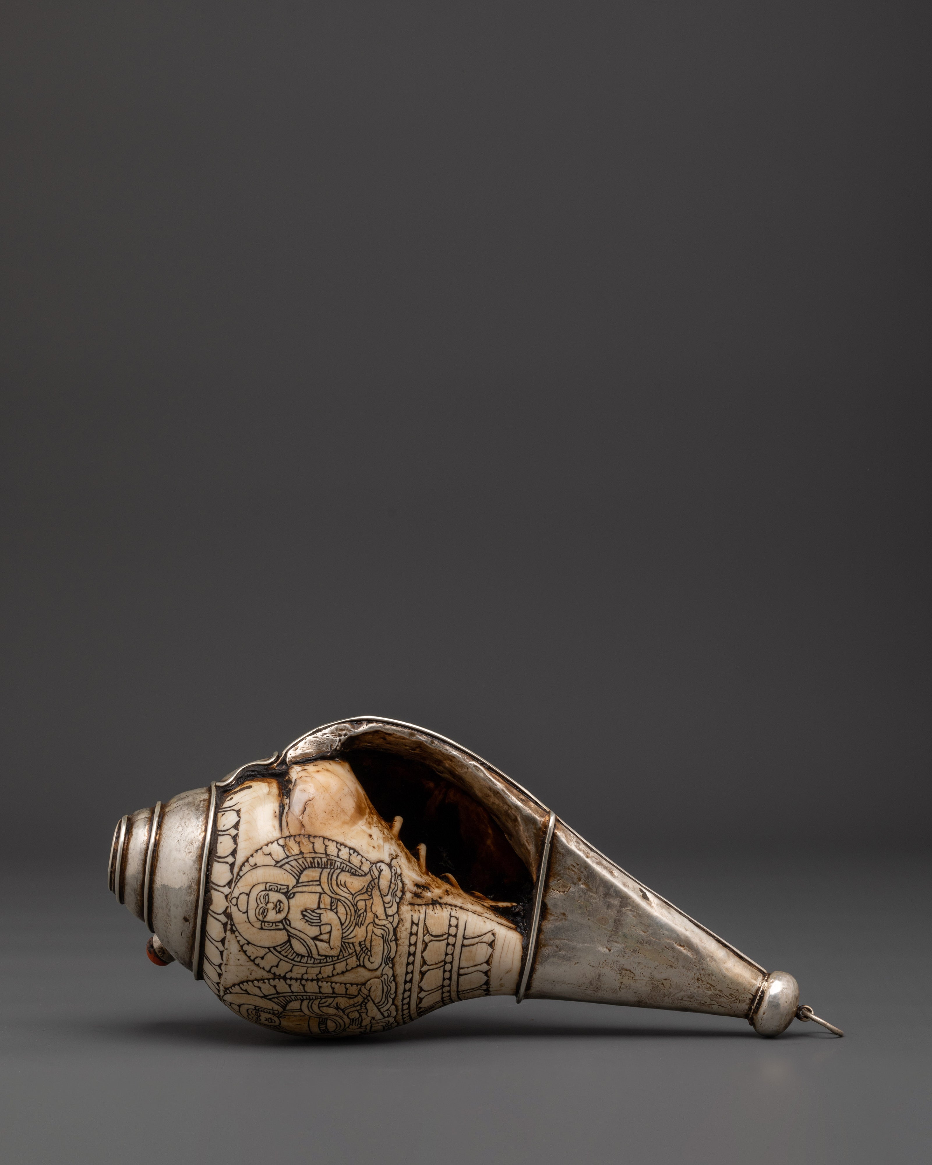 Tibetan Silver Conch Shell | Silver-Wrapped Ritual Shankha