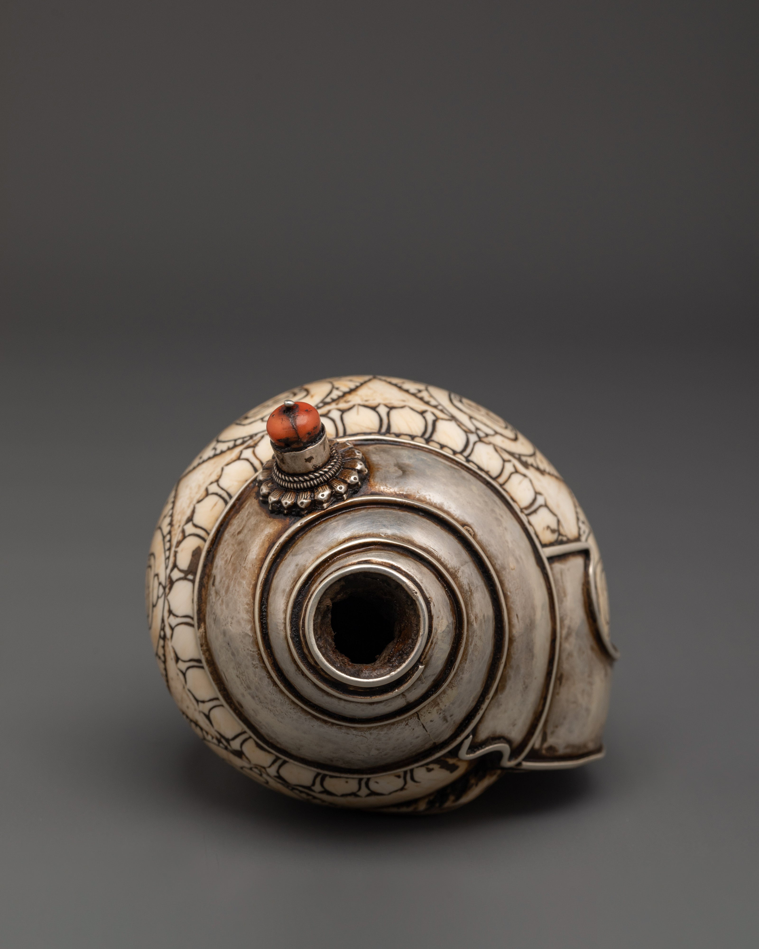 Tibetan Silver Conch Shell | Silver-Wrapped Ritual Shankha
