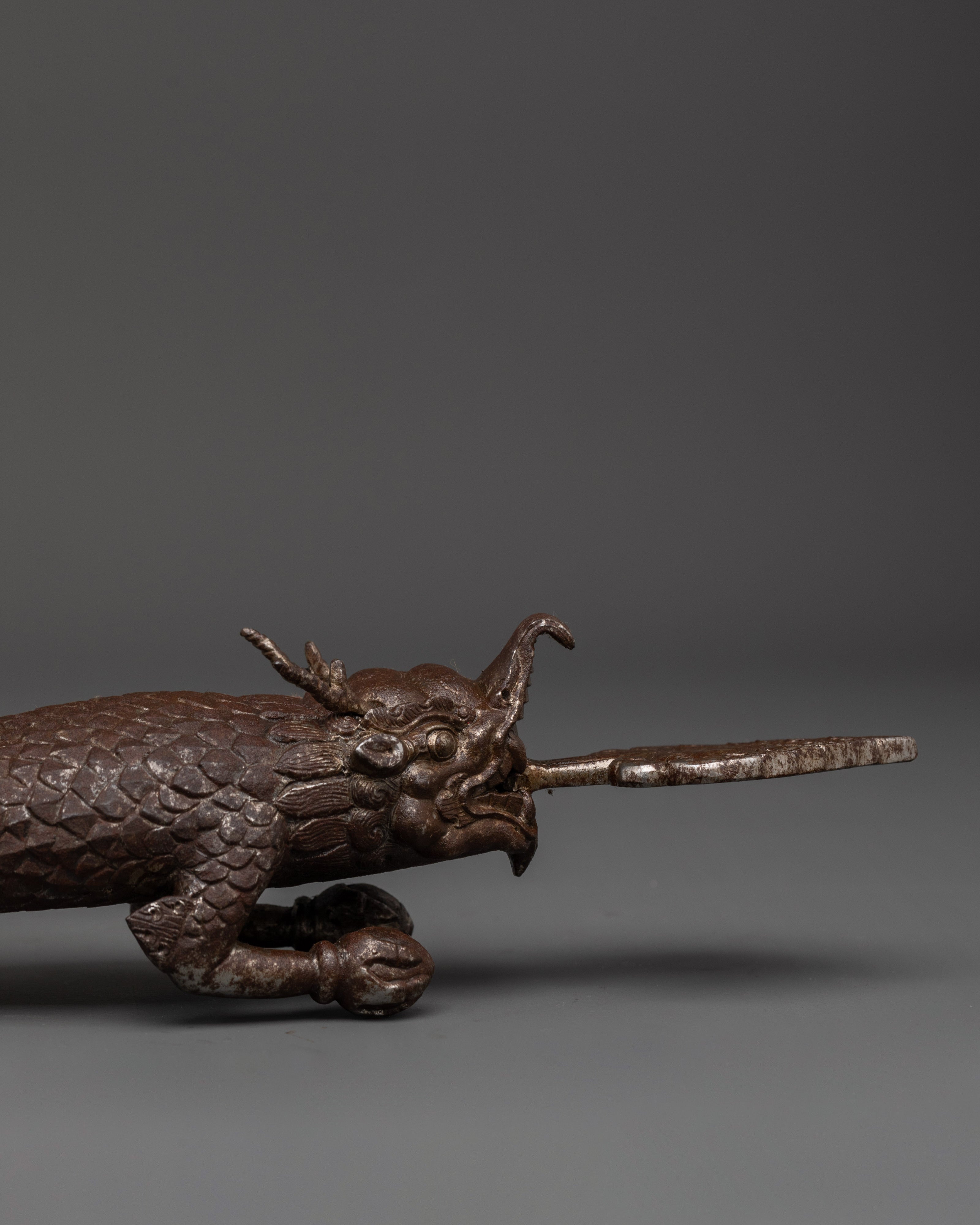 Tibetan Dragon Door Handle | Handcrafted Iron Door Pull with Cloud Tail