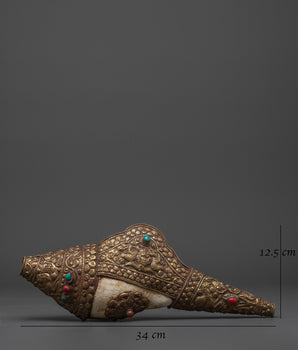 Puja conch shell

