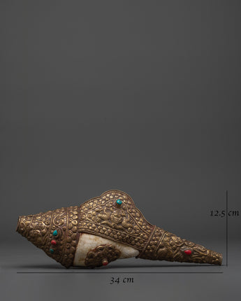 Puja conch shell

