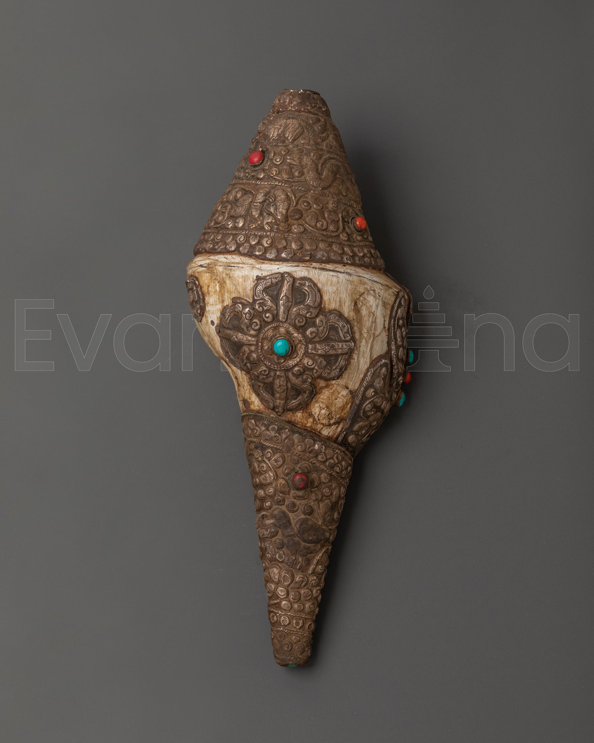  Conch Shell  