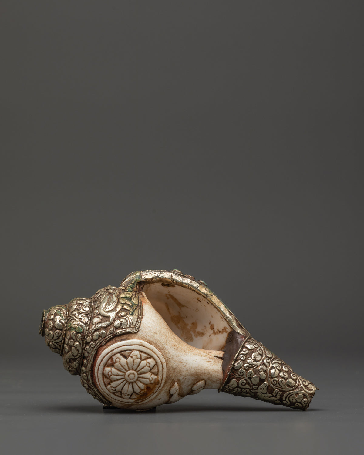 Traditional Ritual Conch Shell | Tibetan Buddhist Altar Offering Shell