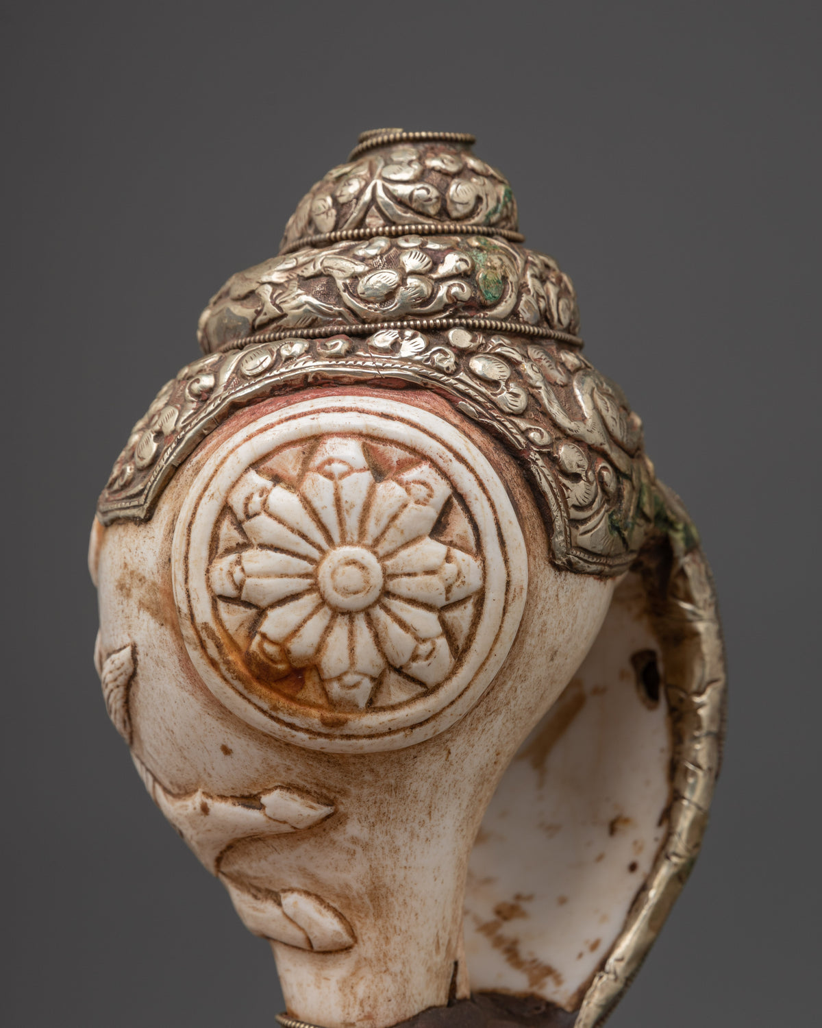 Traditional Ritual Conch Shell | Tibetan Buddhist Altar Offering Shell