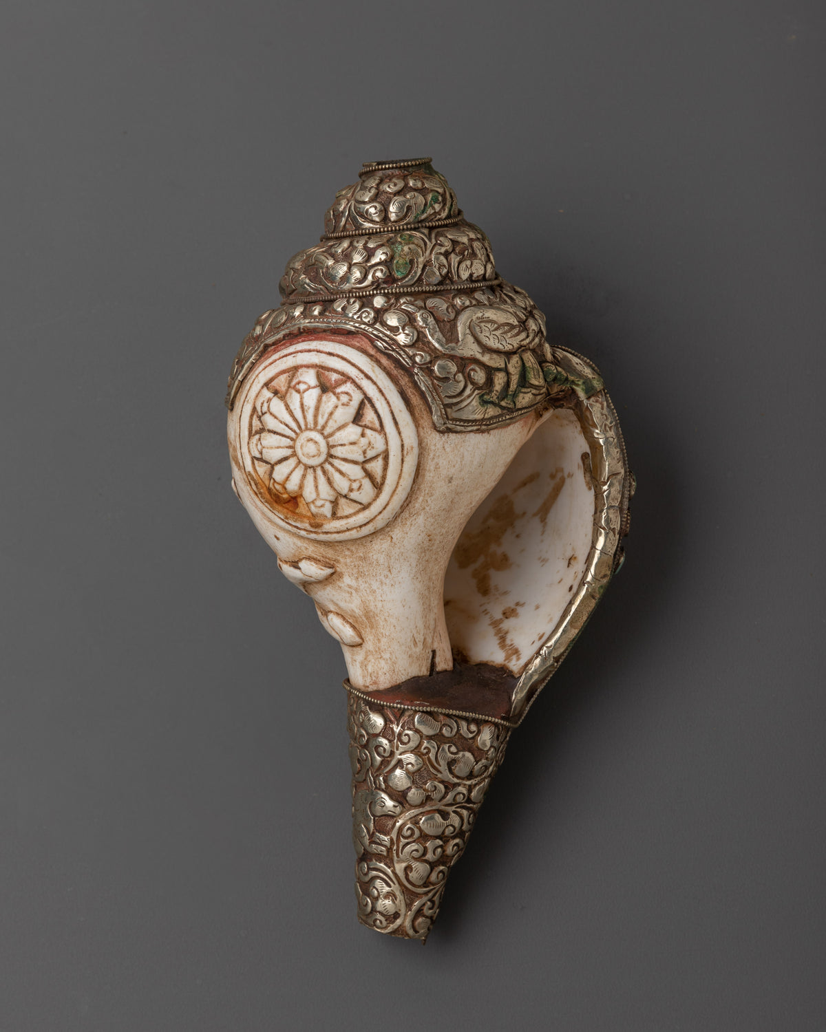 Traditional Ritual Conch Shell | Tibetan Buddhist Altar Offering Shell