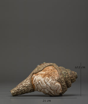 Traditional Ritual Conch Shell | Tibetan Buddhist Altar Offering Shell