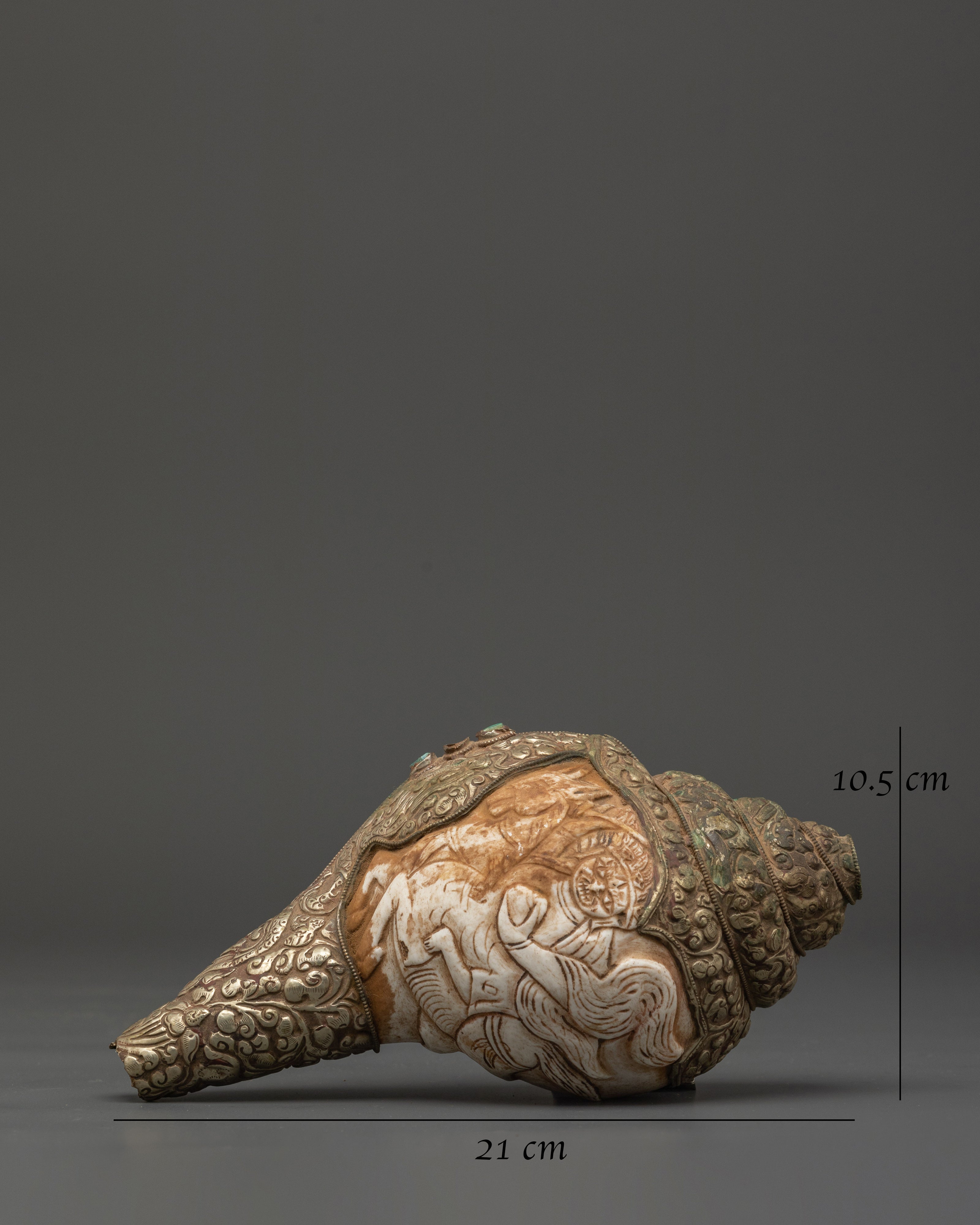 Traditional Ritual Conch Shell | Tibetan Buddhist Altar Offering Shell