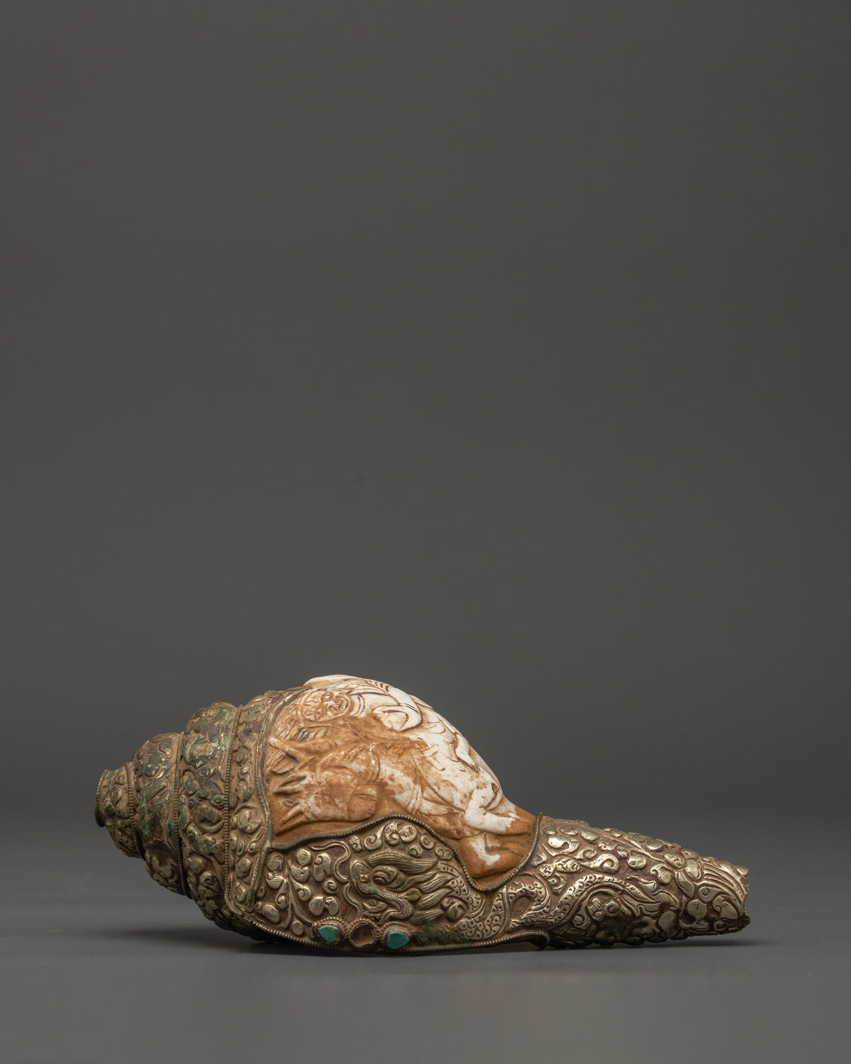 Traditional Ritual Conch Shell | Tibetan Buddhist Altar Offering Shell