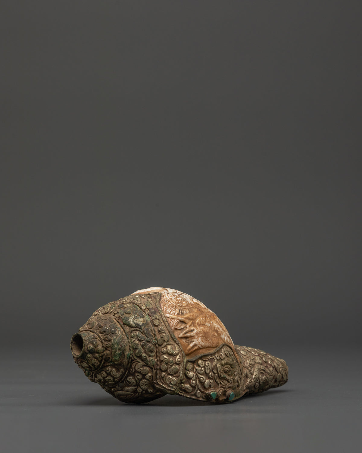 Traditional Ritual Conch Shell | Tibetan Buddhist Altar Offering Shell