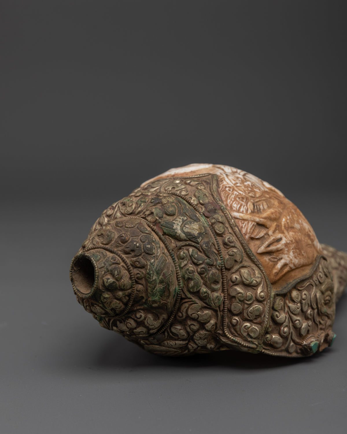 Traditional Ritual Conch Shell | Tibetan Buddhist Altar Offering Shell