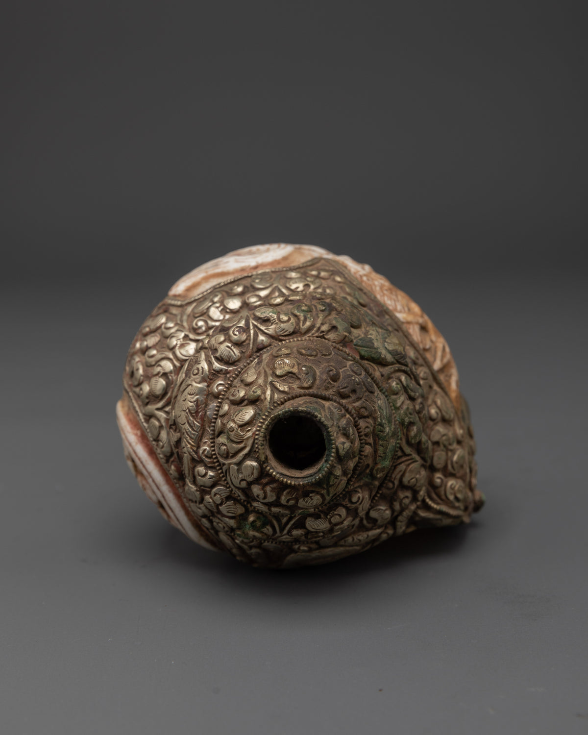 Traditional Ritual Conch Shell | Tibetan Buddhist Altar Offering Shell
