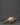 Handcrafted Dharma Conch Shell | Sacred Copper Sound Offering
