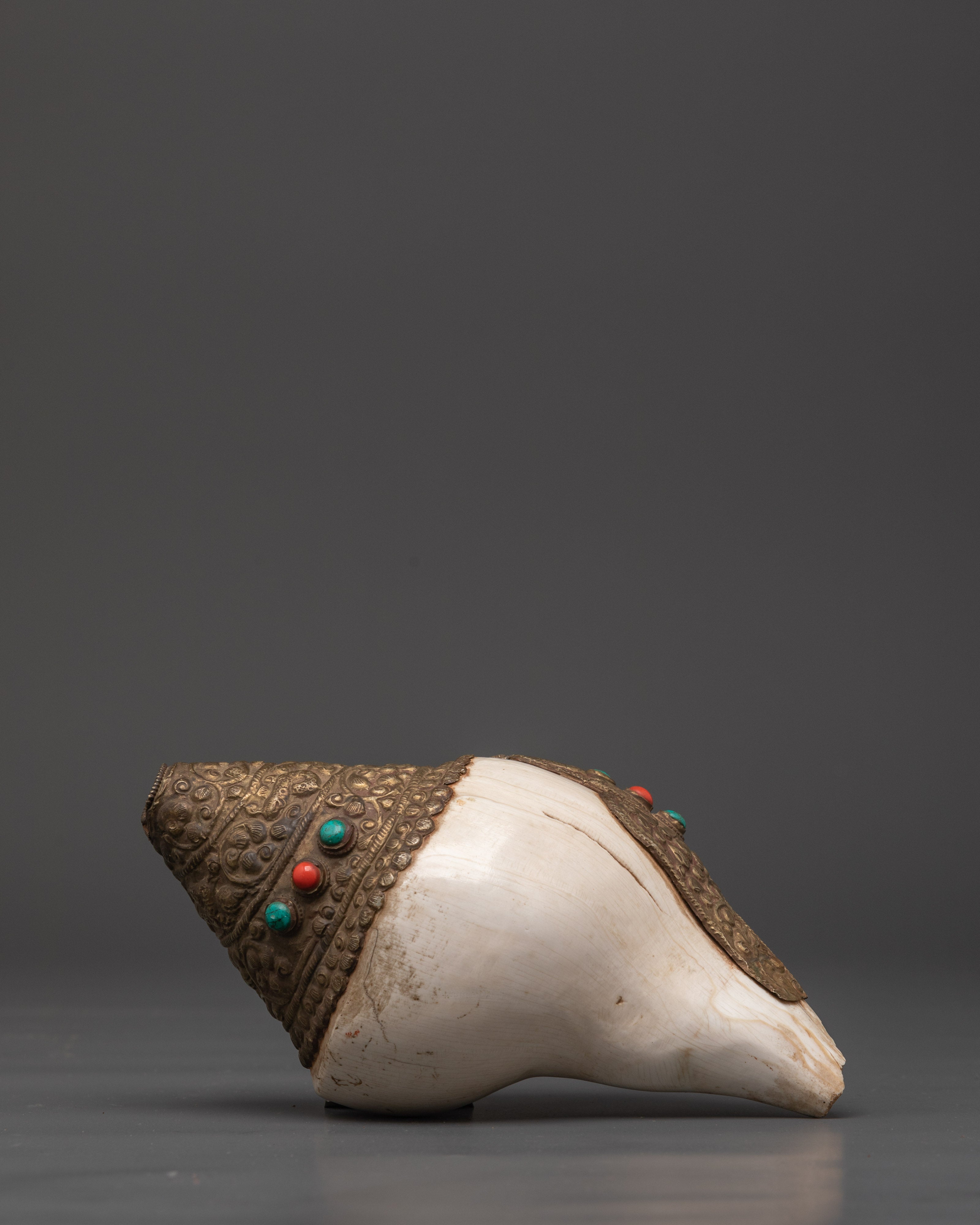 Conch Shell for Buddhist Ritual Practice | Meditation Sound Instrument