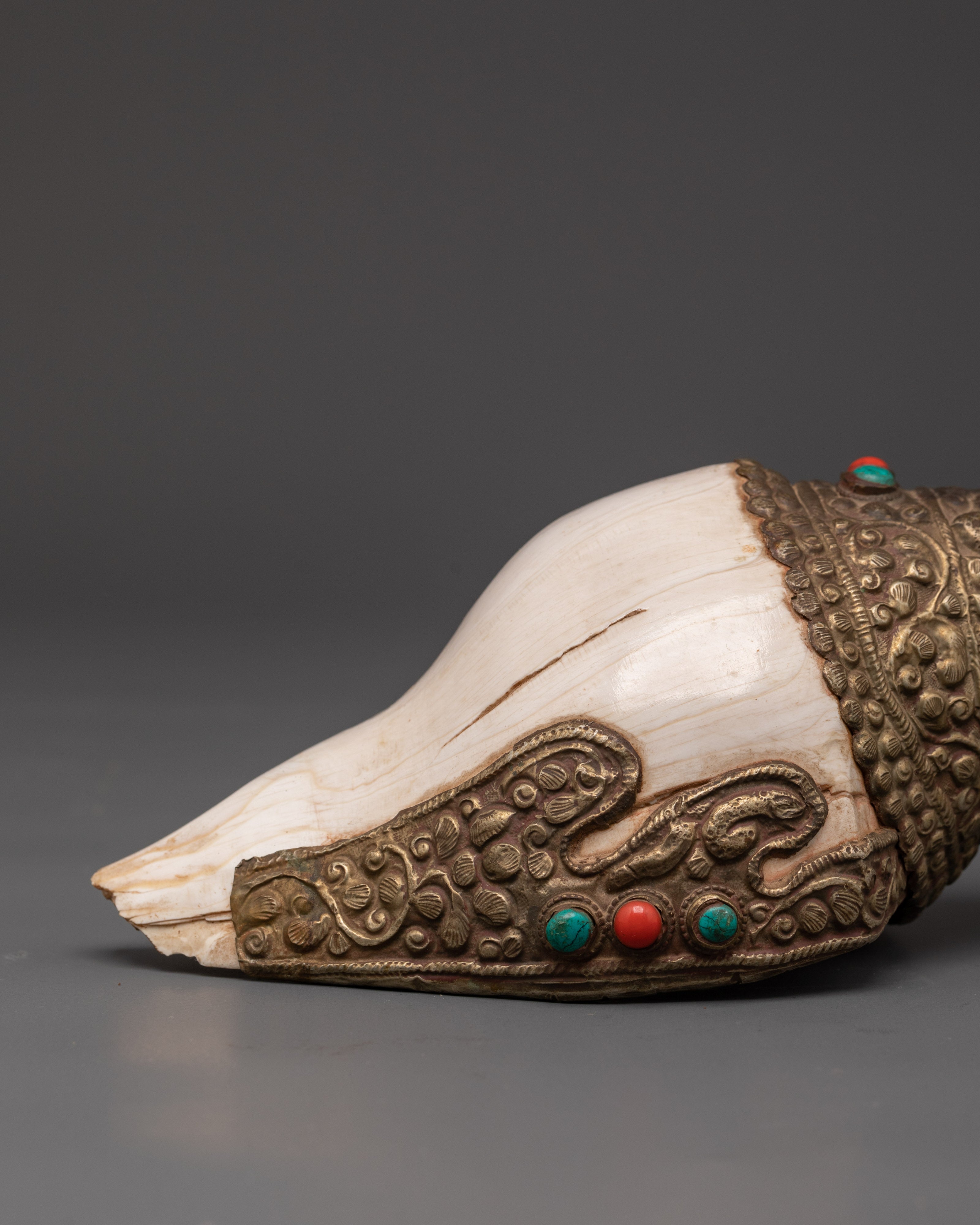Conch Shell for Buddhist Ritual Practice | Meditation Sound Instrument