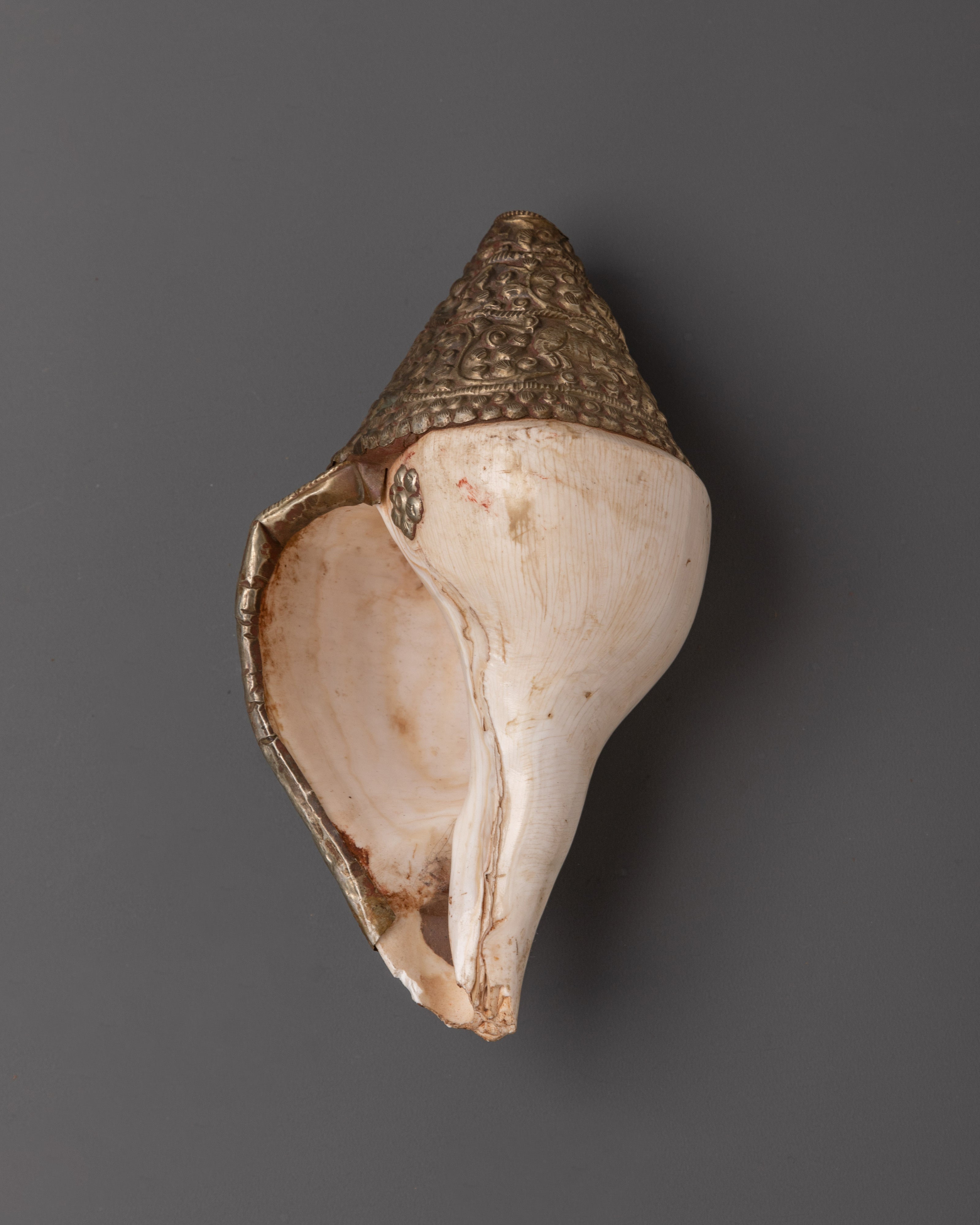 Conch Shell for Buddhist Ritual Practice | Meditation Sound Instrument